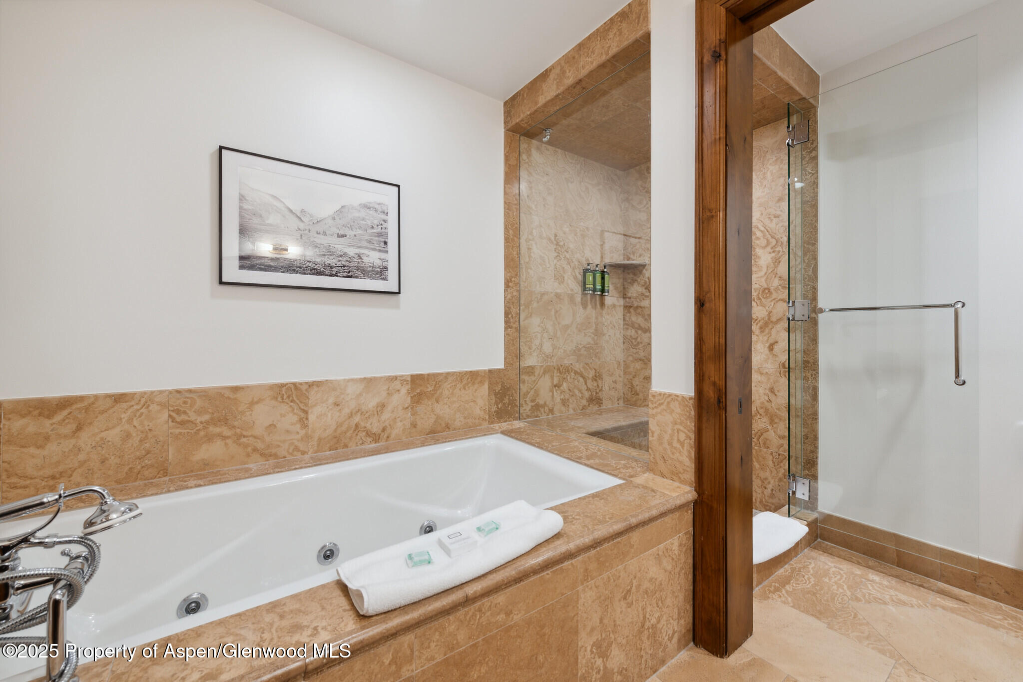 415 E Dean St., Unit 31, Week 11 Aspen CO 81611