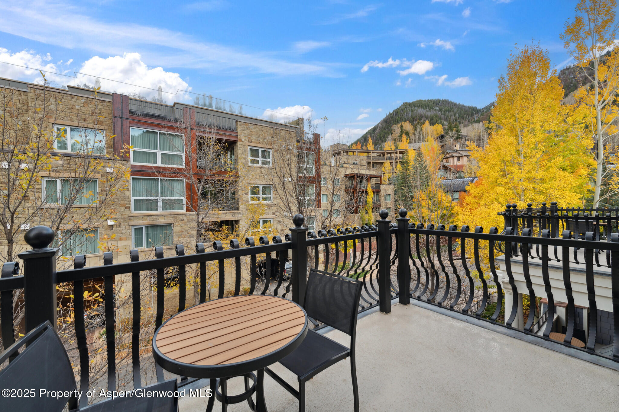 415 E Dean St., Unit 31, Week 11 Aspen CO 81611