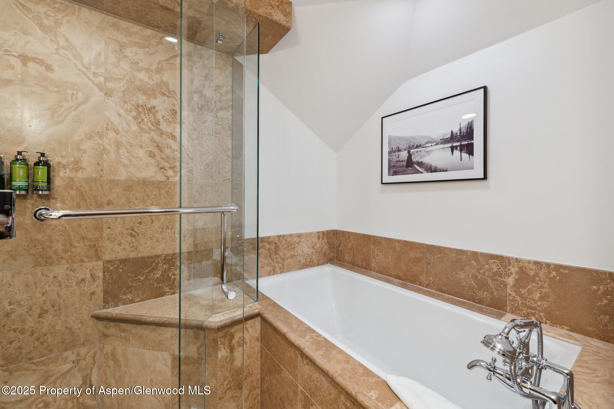 415 E Dean St., Unit 31, Week 11 Aspen CO 81611