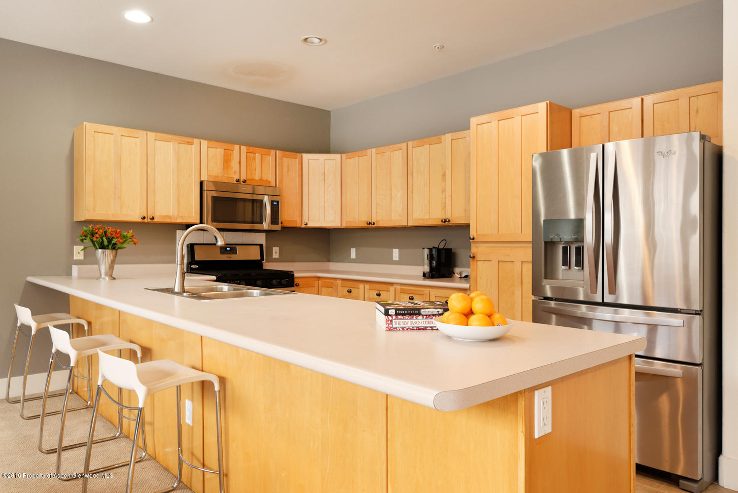 719 Evans Court Basalt CO 81621