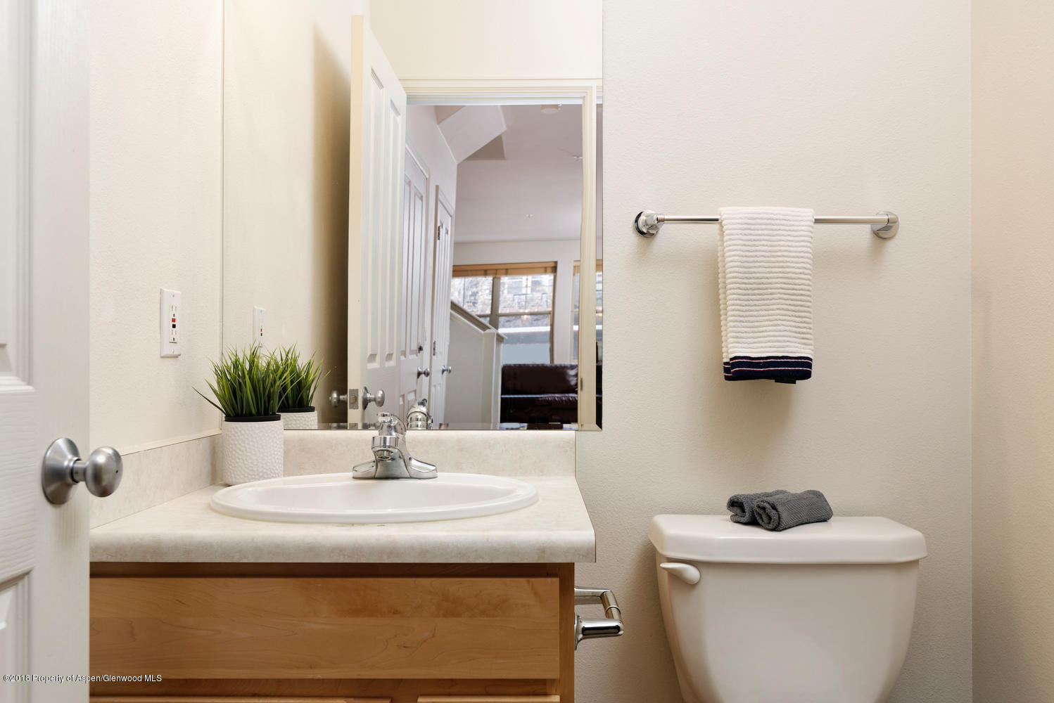 719 Evans Court Basalt CO 81621