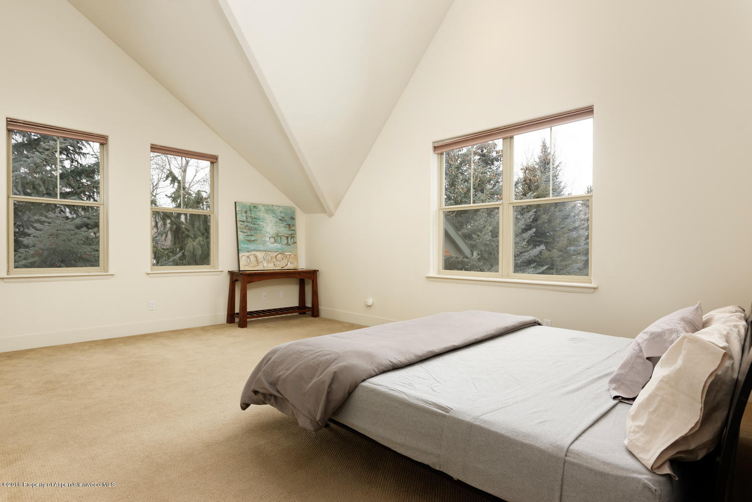 719 Evans Court Basalt CO 81621