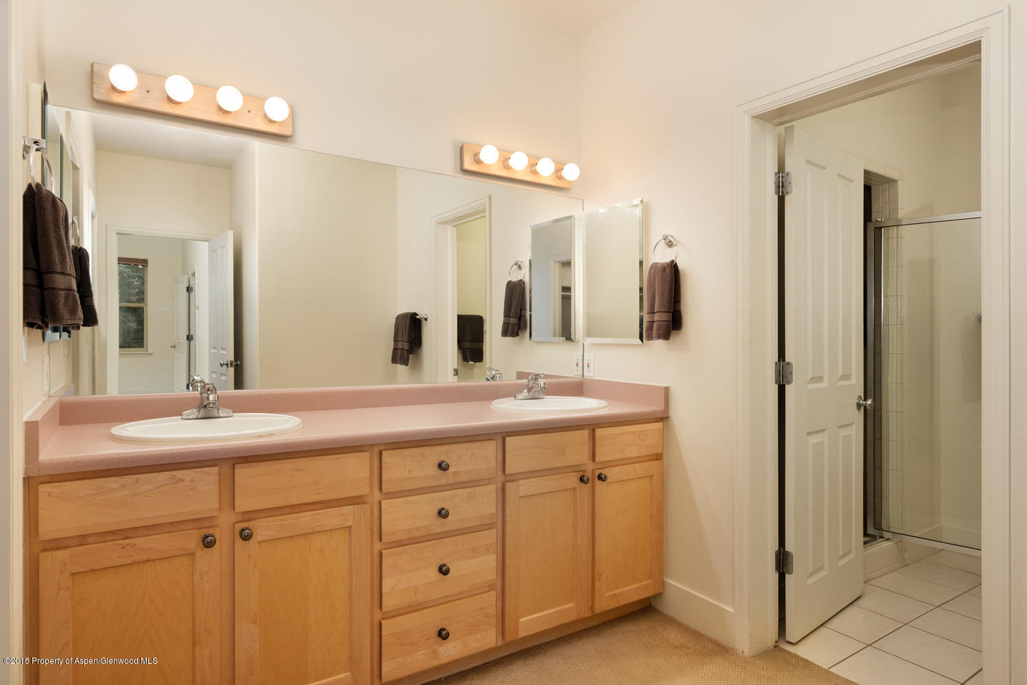 719 Evans Court Basalt CO 81621