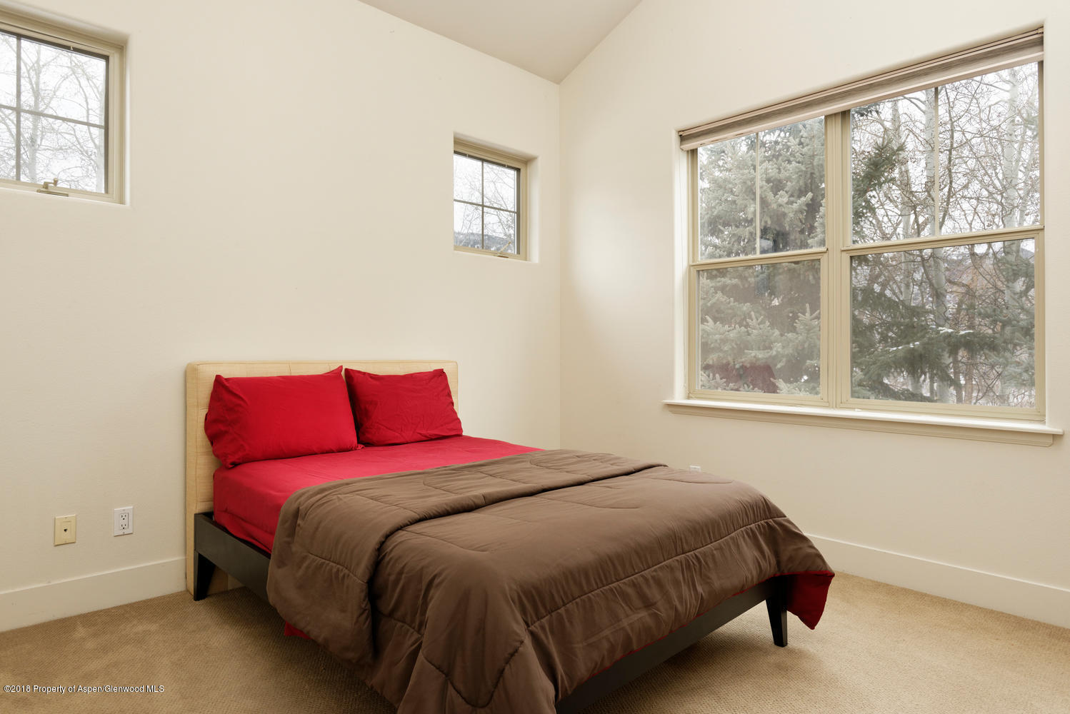 719 Evans Court Basalt CO 81621