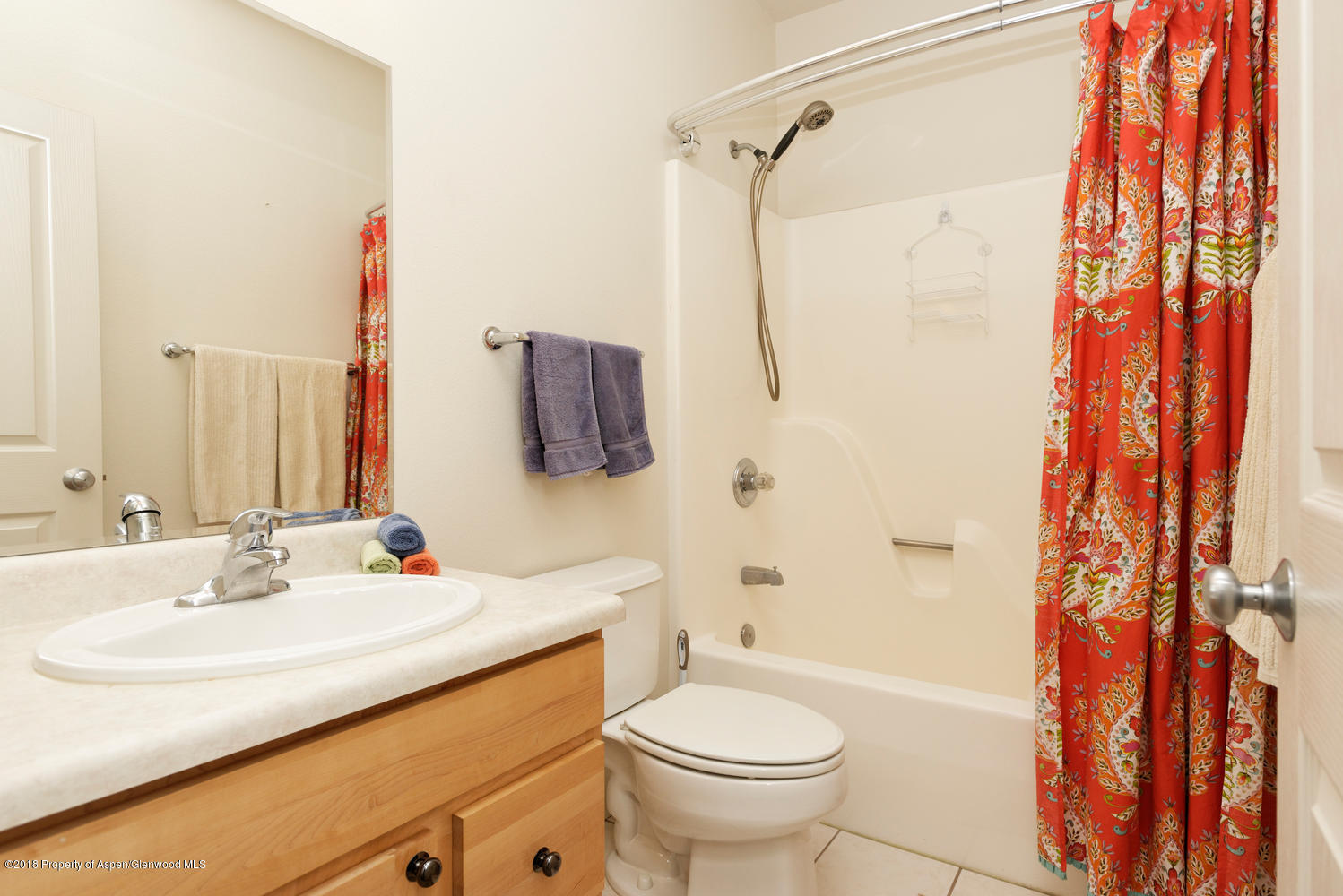 719 Evans Court Basalt CO 81621