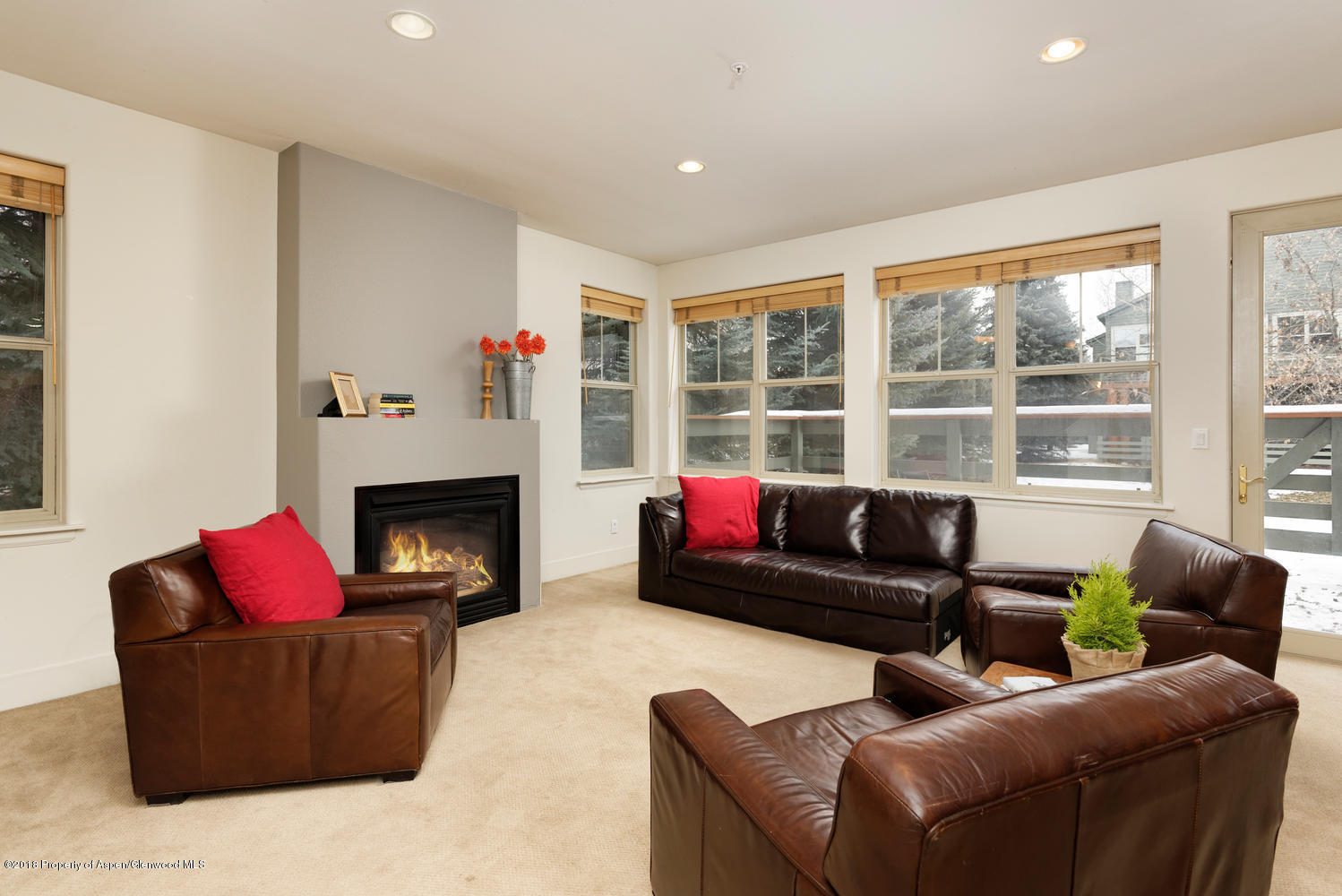 719 Evans Court Basalt CO 81621