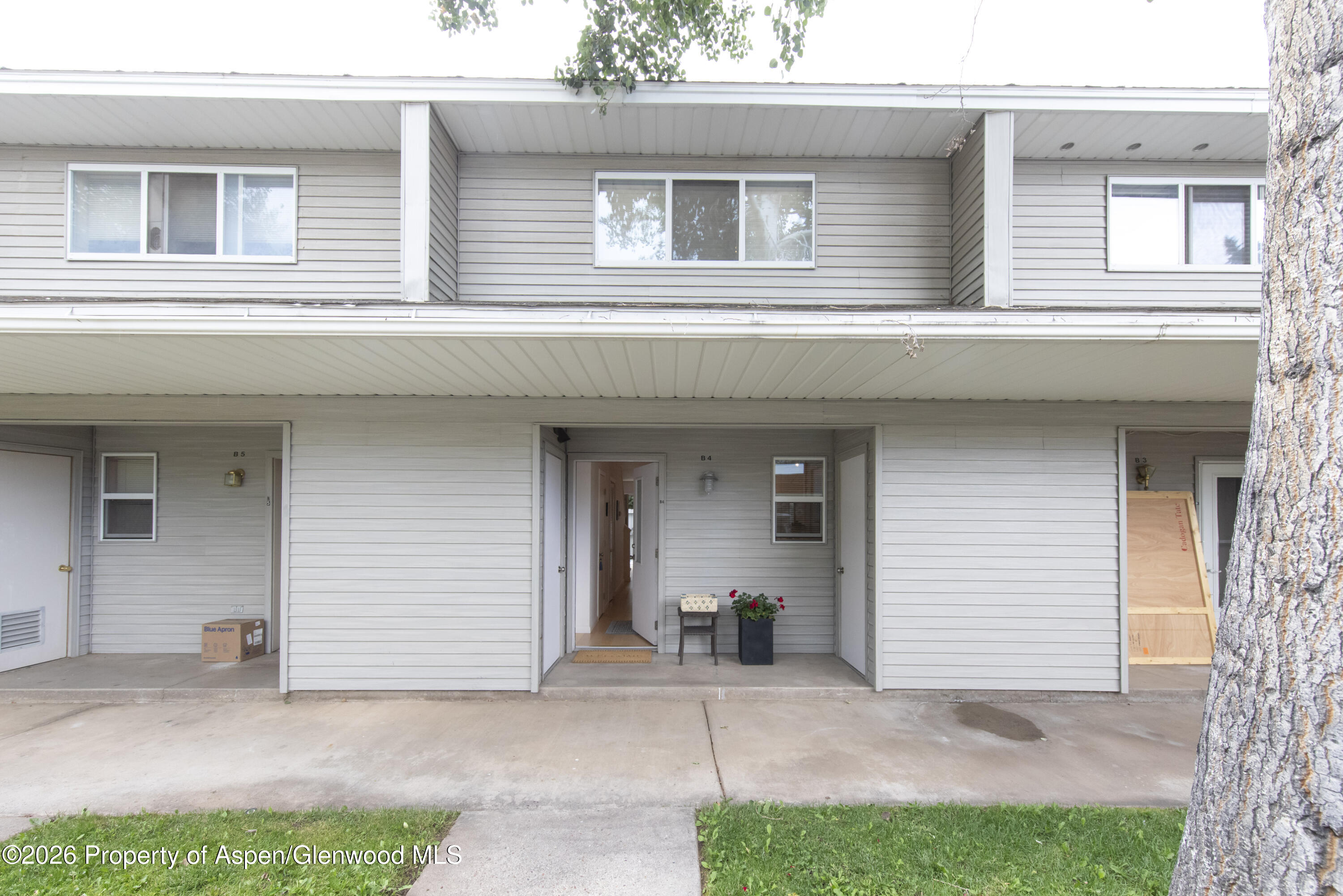 405 Park Avenue Basalt CO 81621