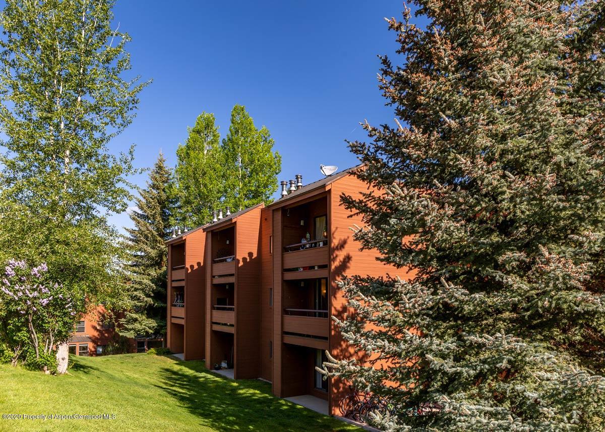 1117 Vine Street Aspen CO 81611