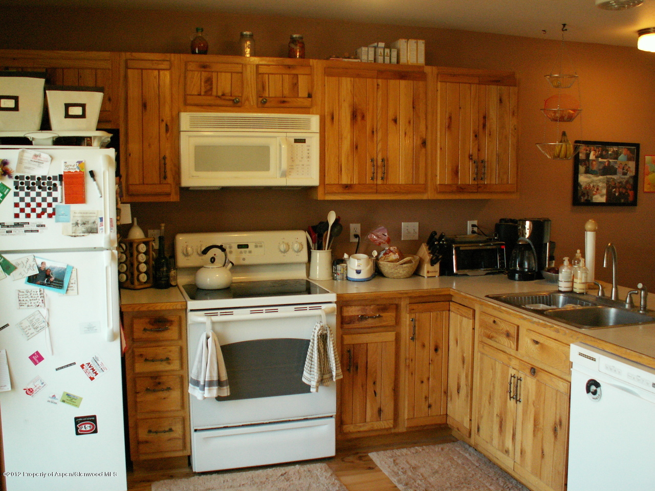 956 Vitos Way Carbondale CO 81623