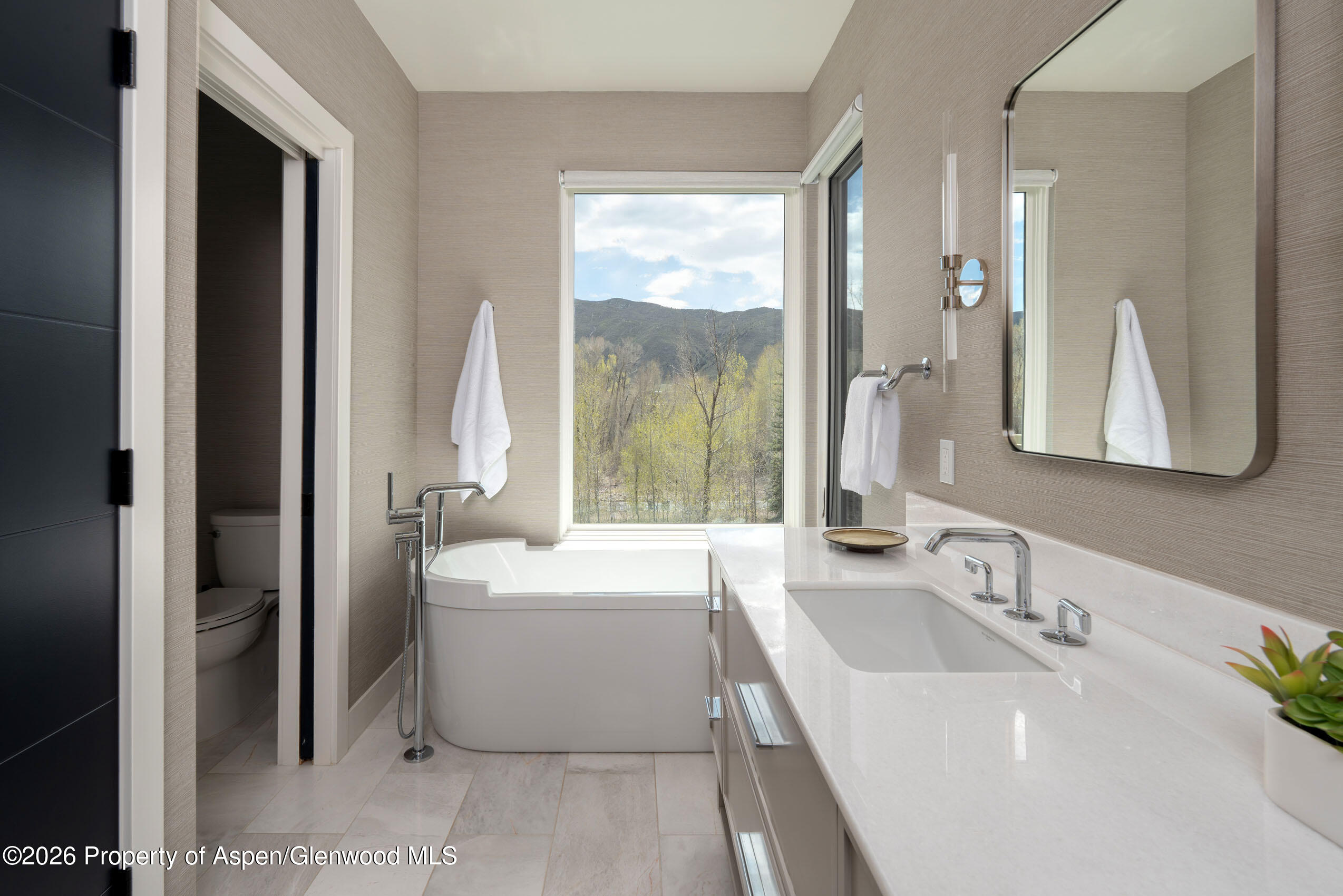 22856 Two Rivers Road Basalt CO 81621