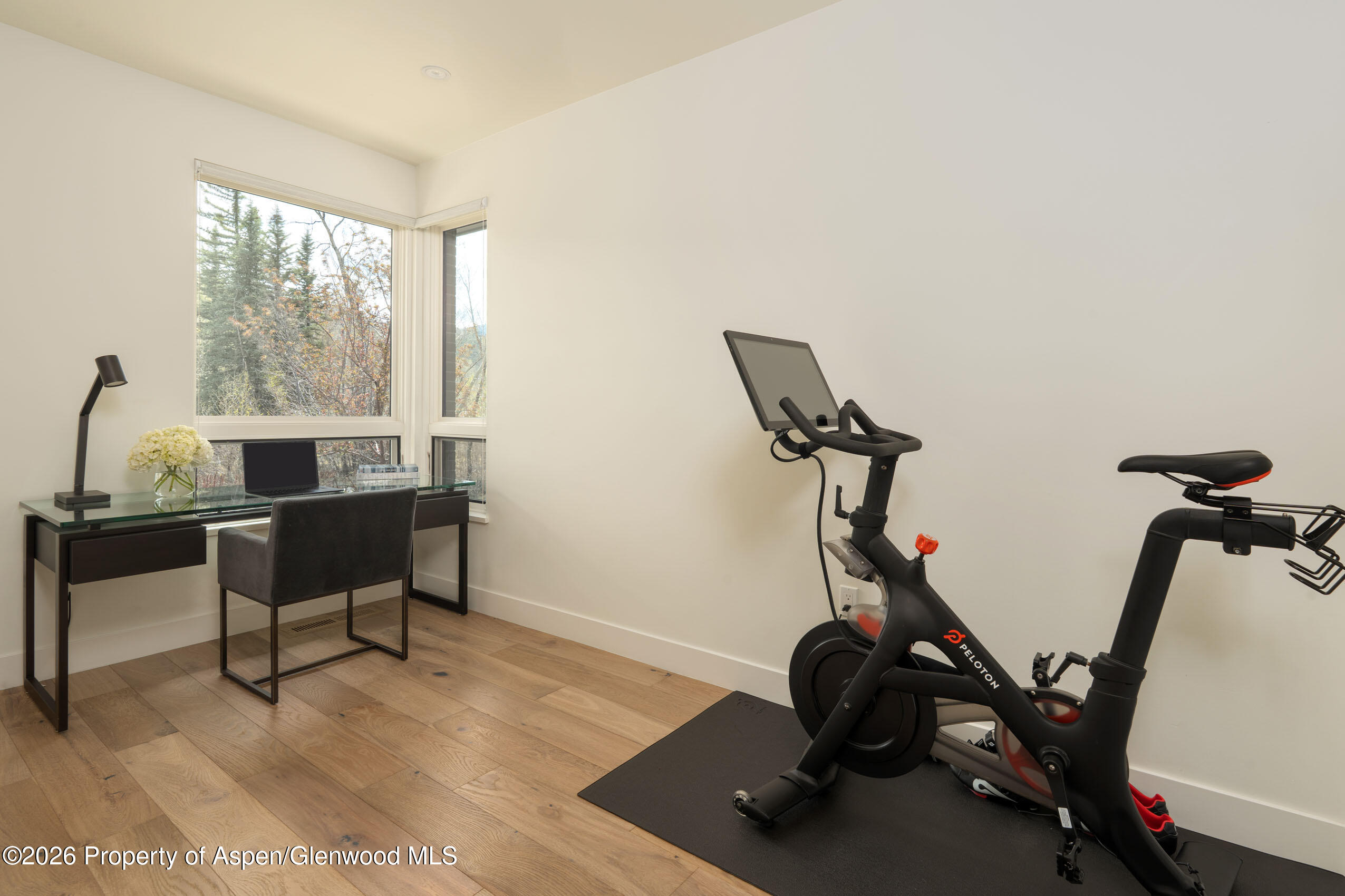 22856 Two Rivers Road Basalt CO 81621