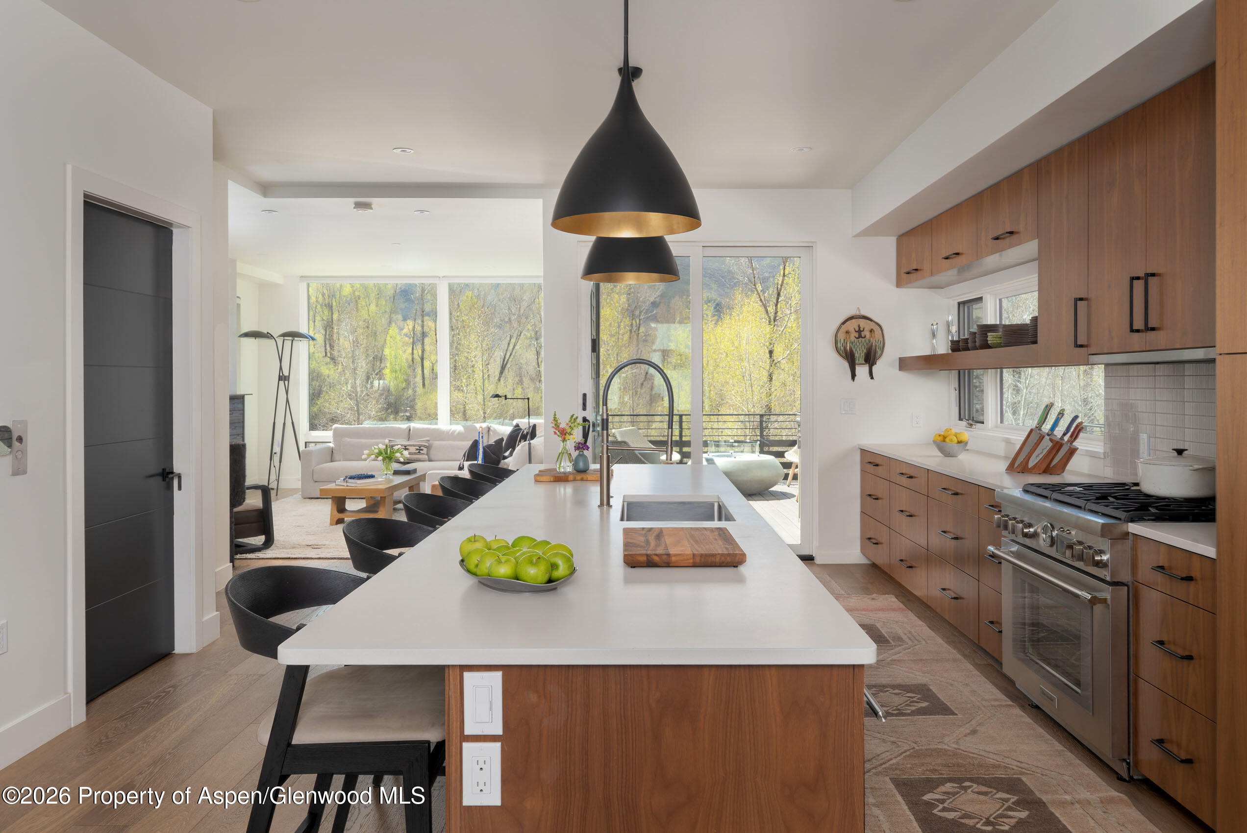 22856 Two Rivers Road Basalt CO 81621