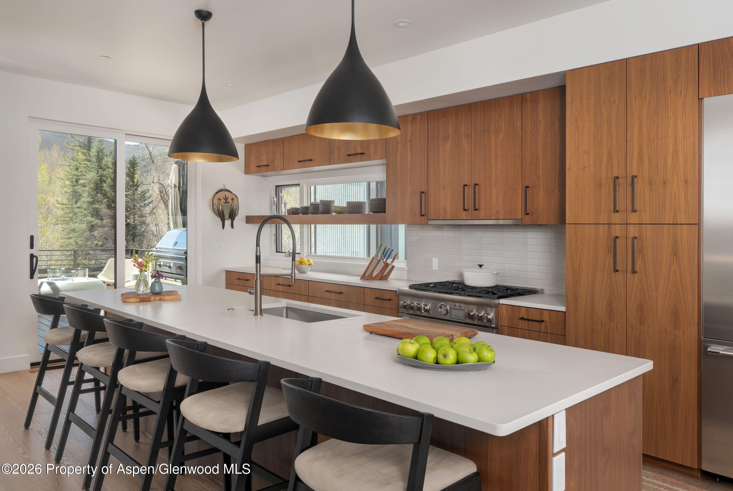 22856 Two Rivers Road Basalt CO 81621