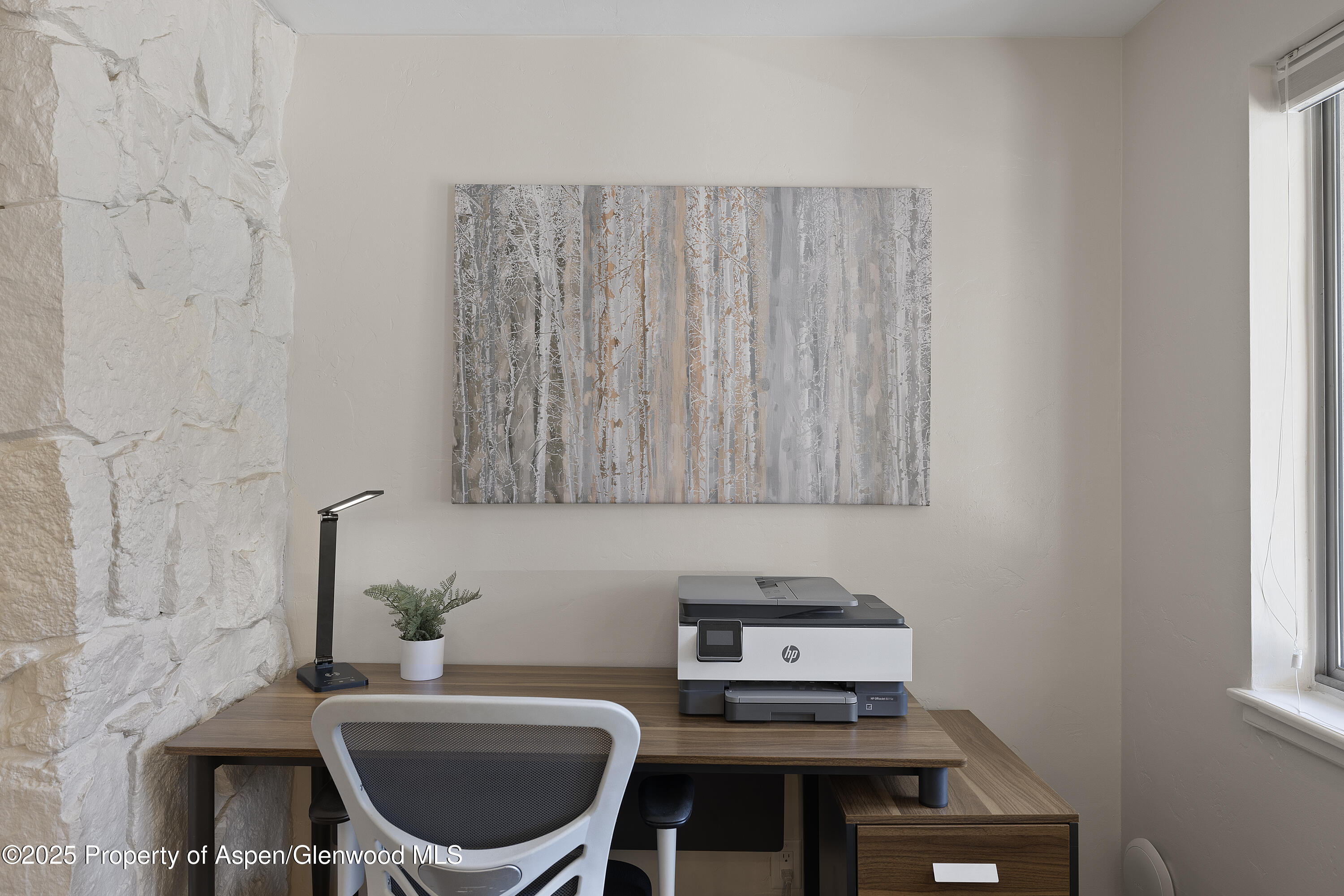 940 Waters Avenue Aspen CO 81612