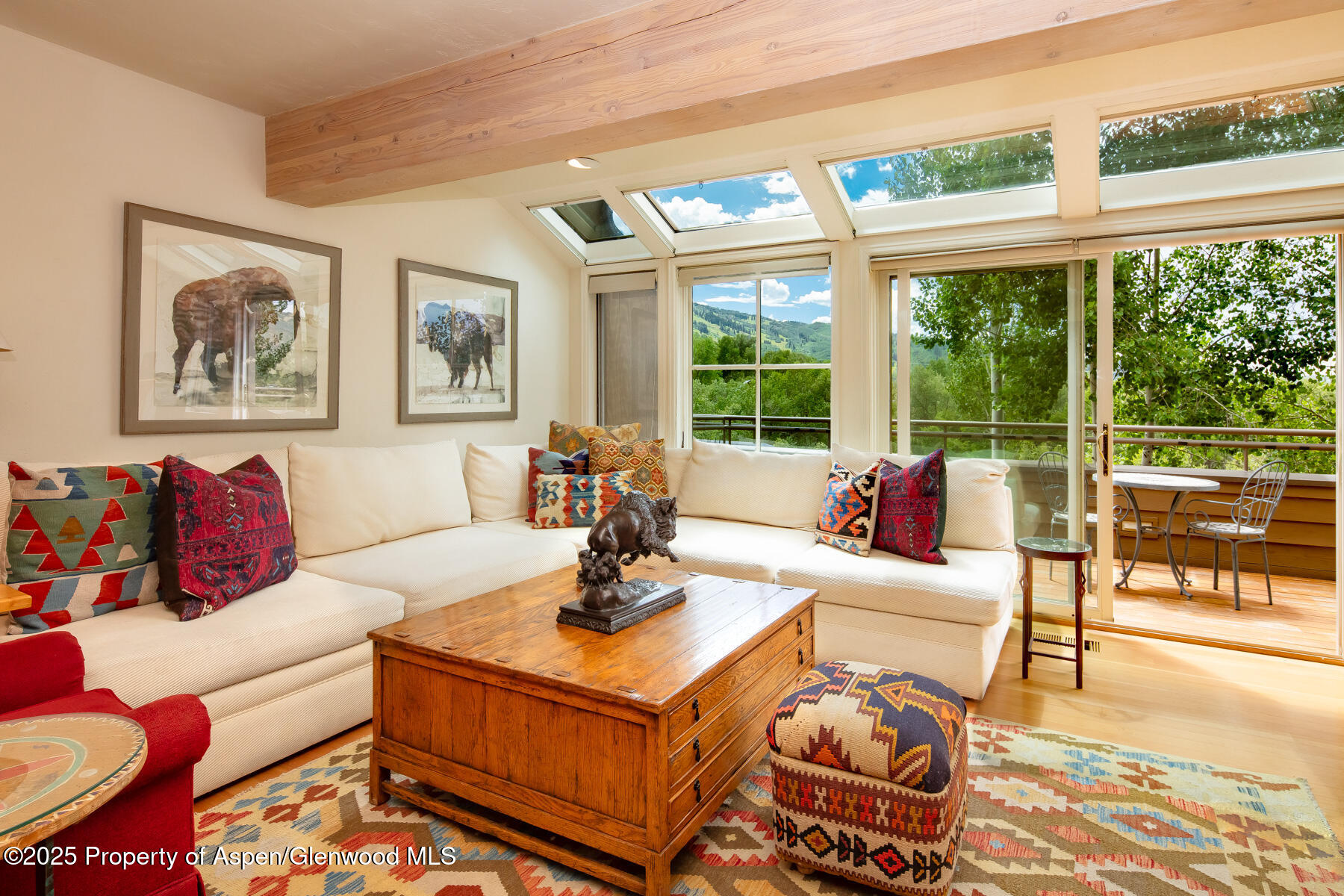 101 N 8th Street Aspen CO 81611