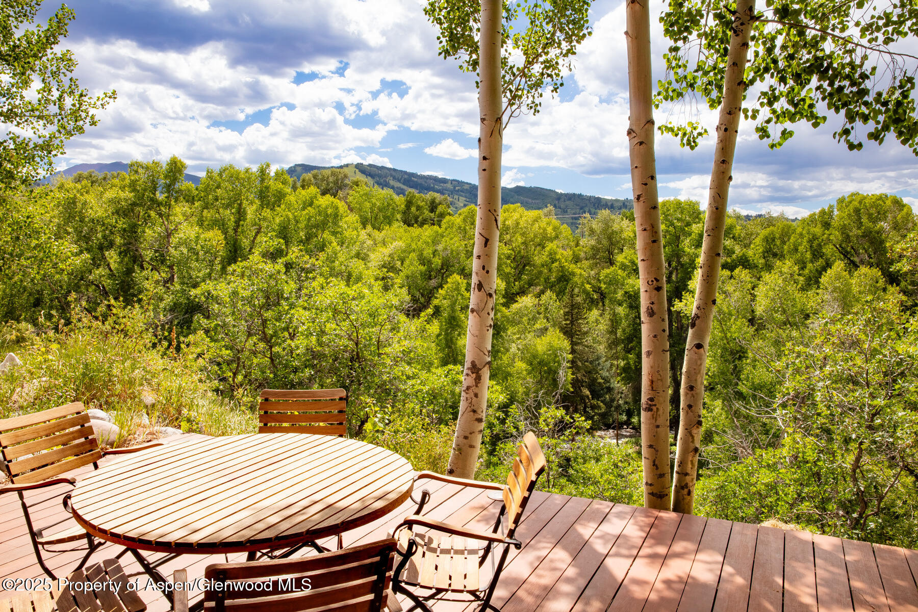 101 N 8th Street Aspen CO 81611