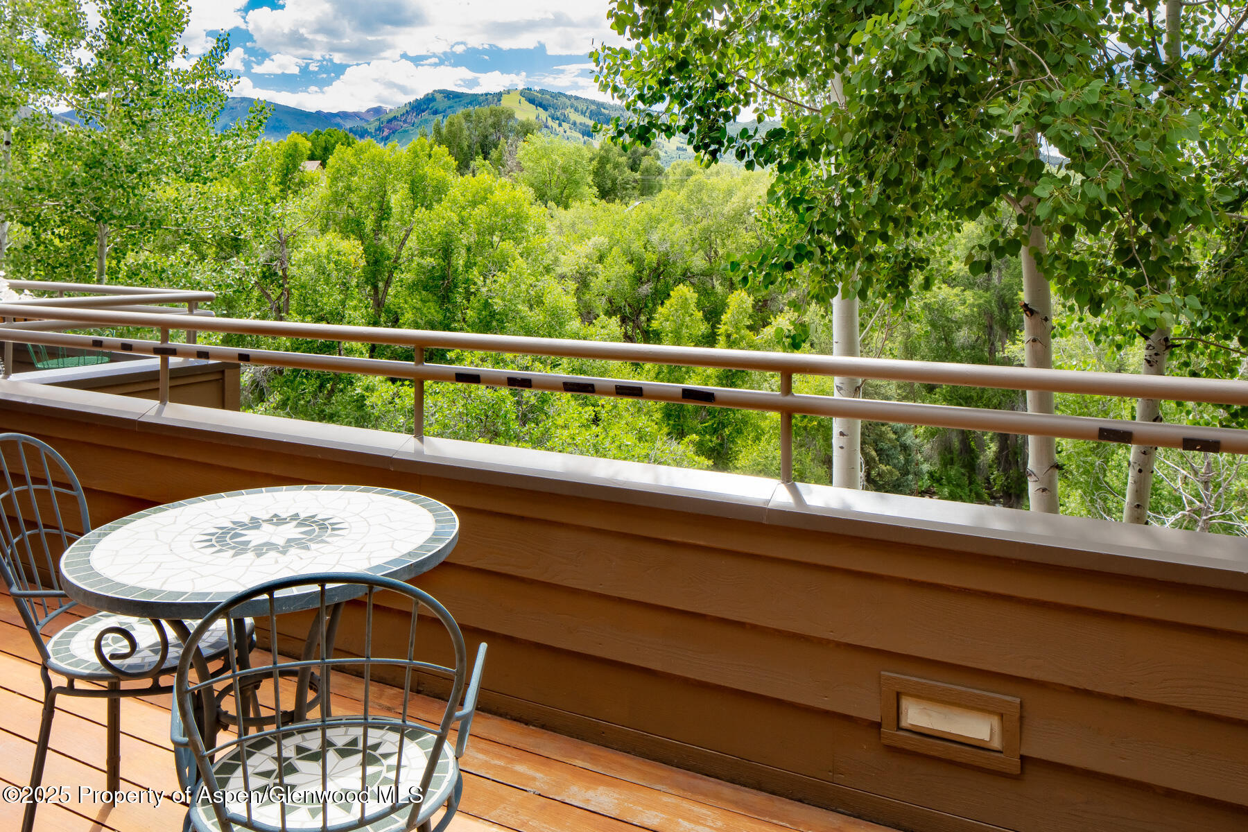 101 N 8th Street Aspen CO 81611