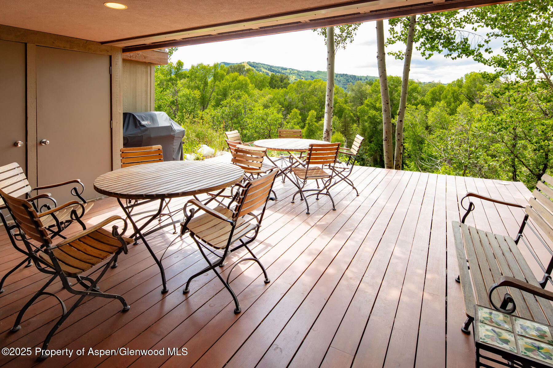 101 N 8th Street Aspen CO 81611