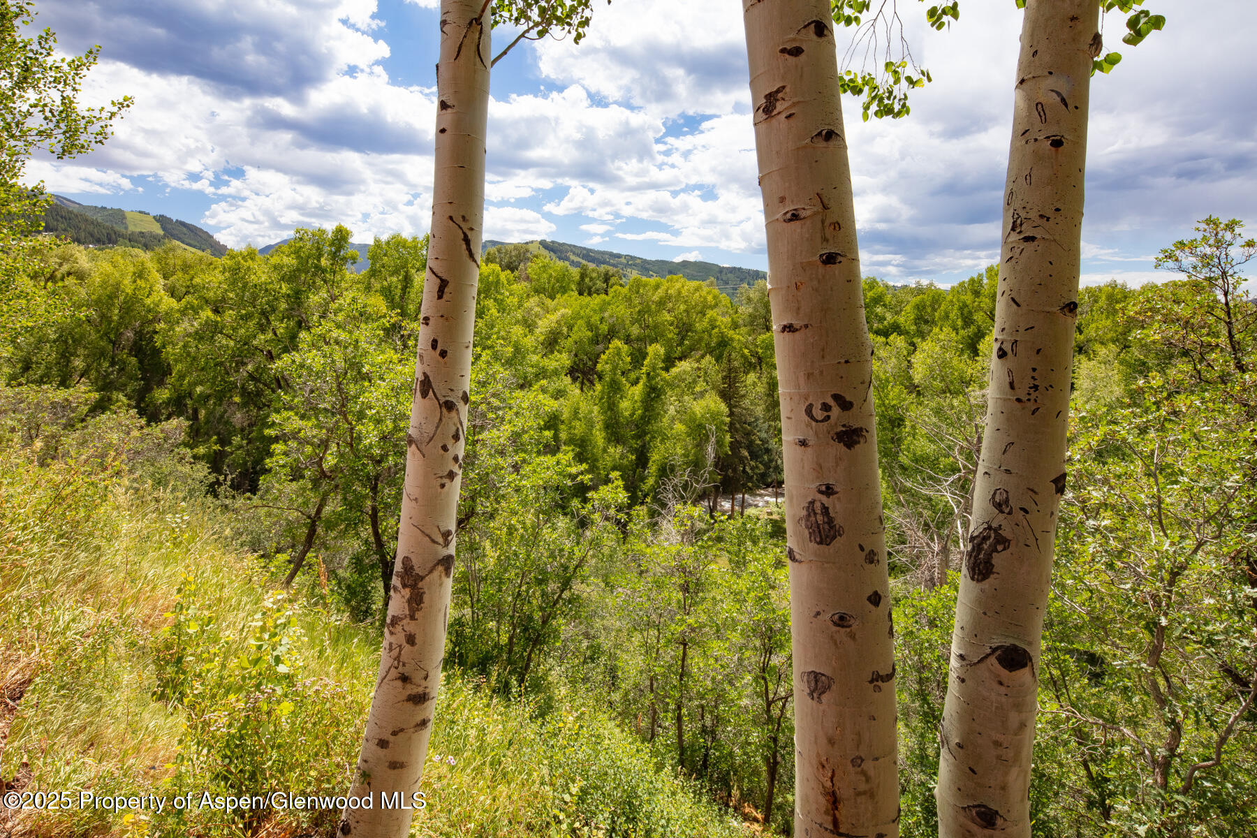 101 N 8th Street Aspen CO 81611