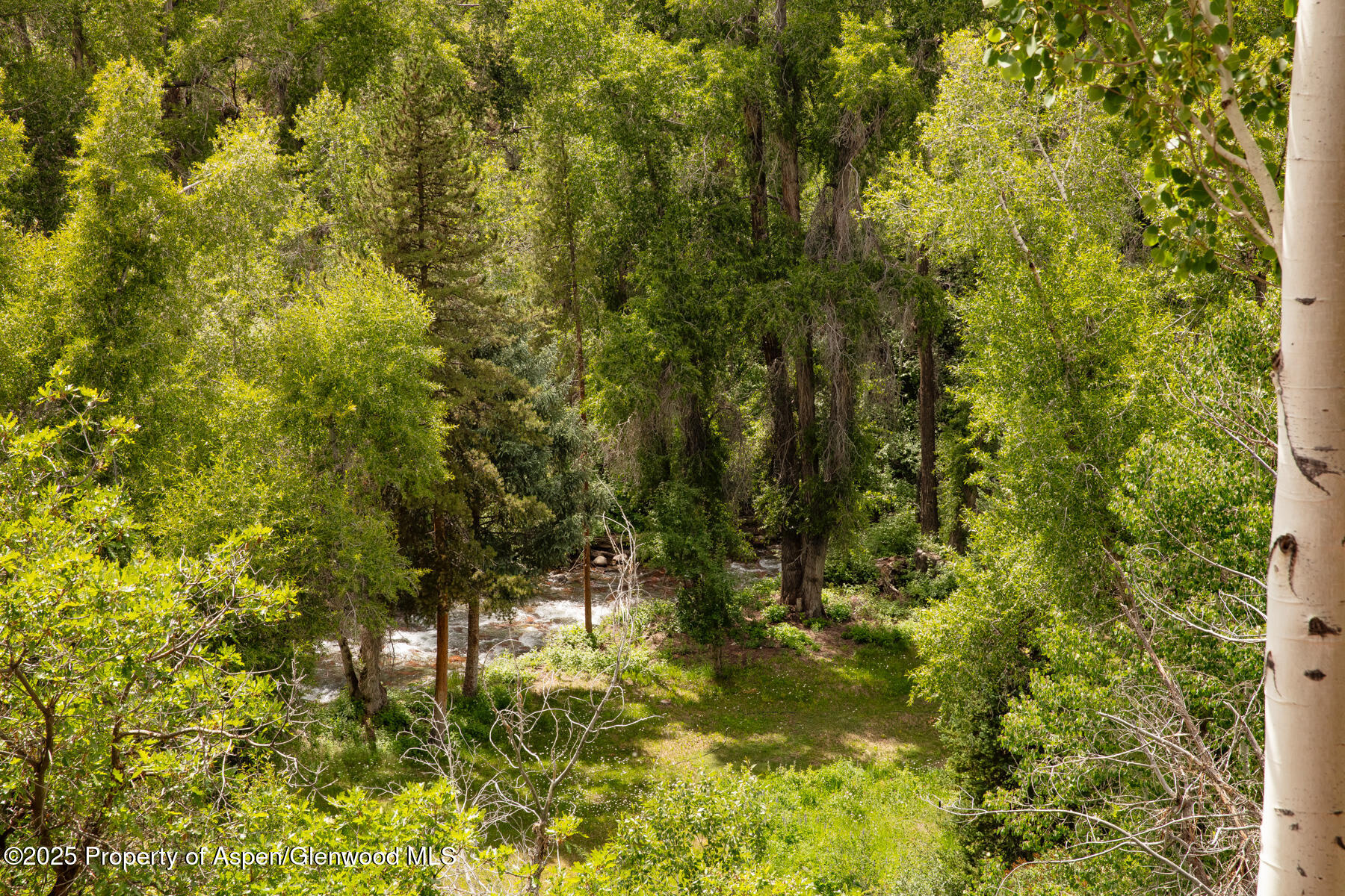 101 N 8th Street Aspen CO 81611