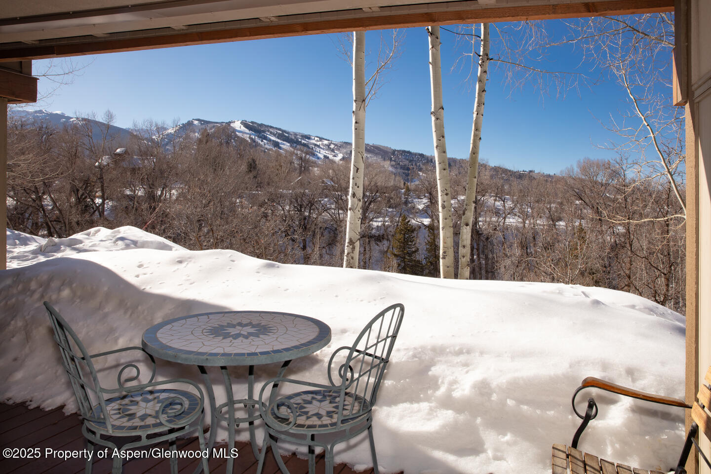 101 N 8th Street Aspen CO 81611