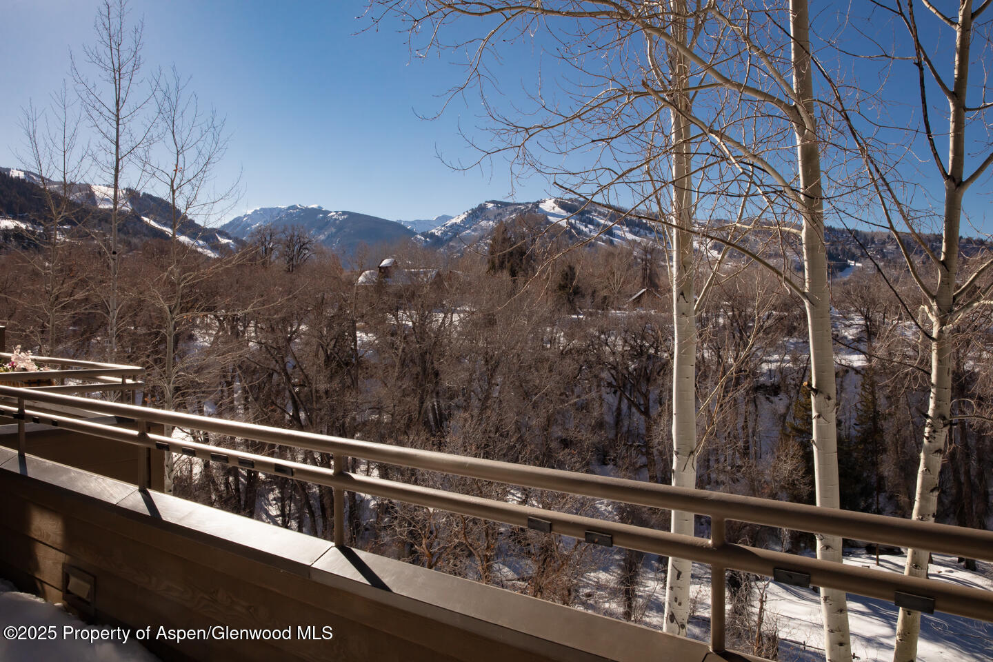 101 N 8th Street Aspen CO 81611