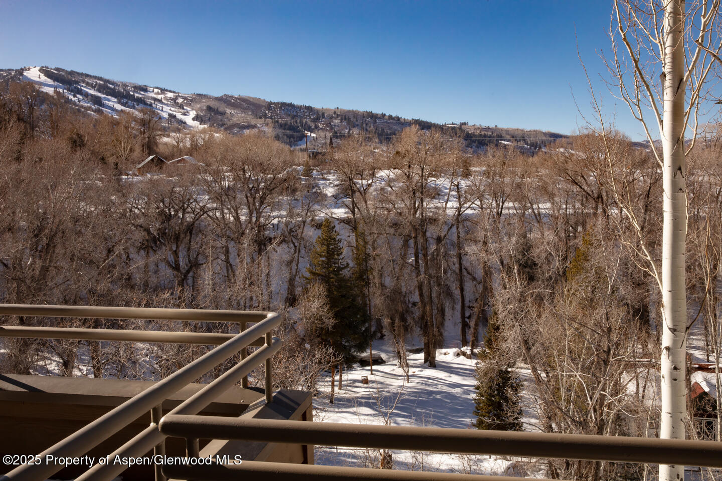 101 N 8th Street Aspen CO 81611