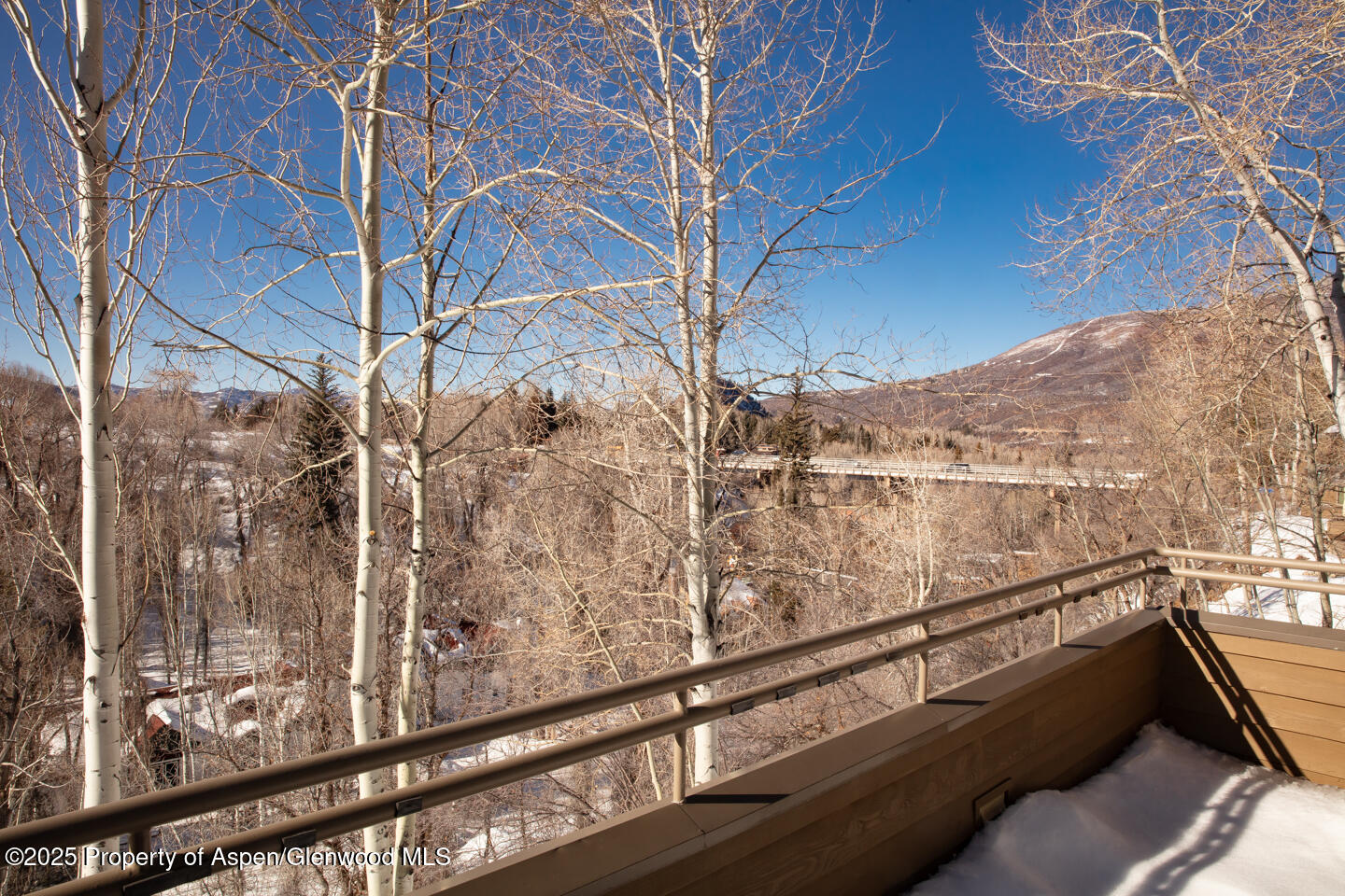 101 N 8th Street Aspen CO 81611