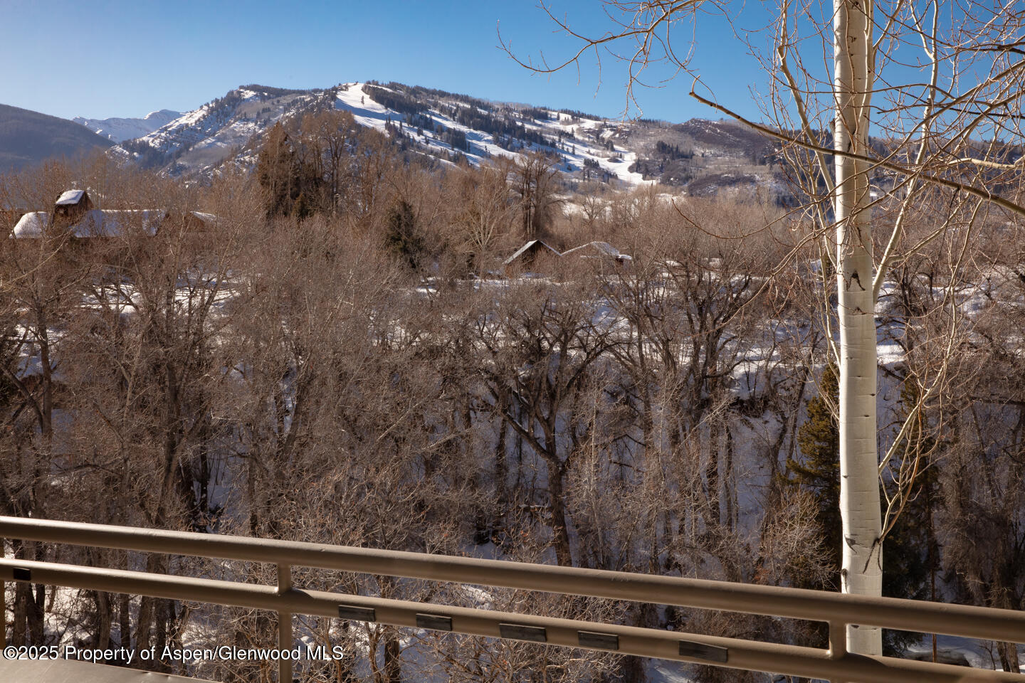 101 N 8th Street Aspen CO 81611