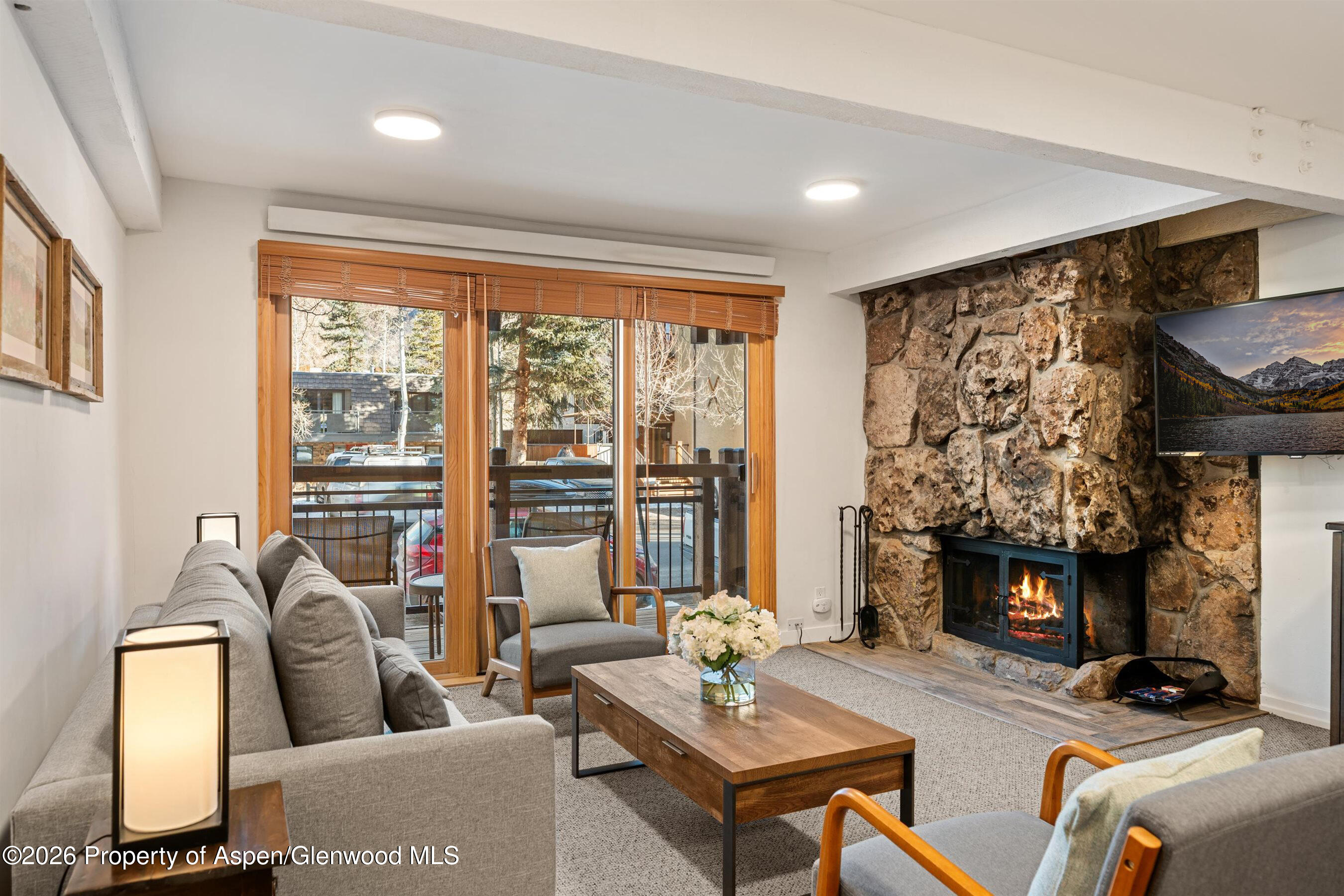 131 E Durant Avenue Aspen CO 81611