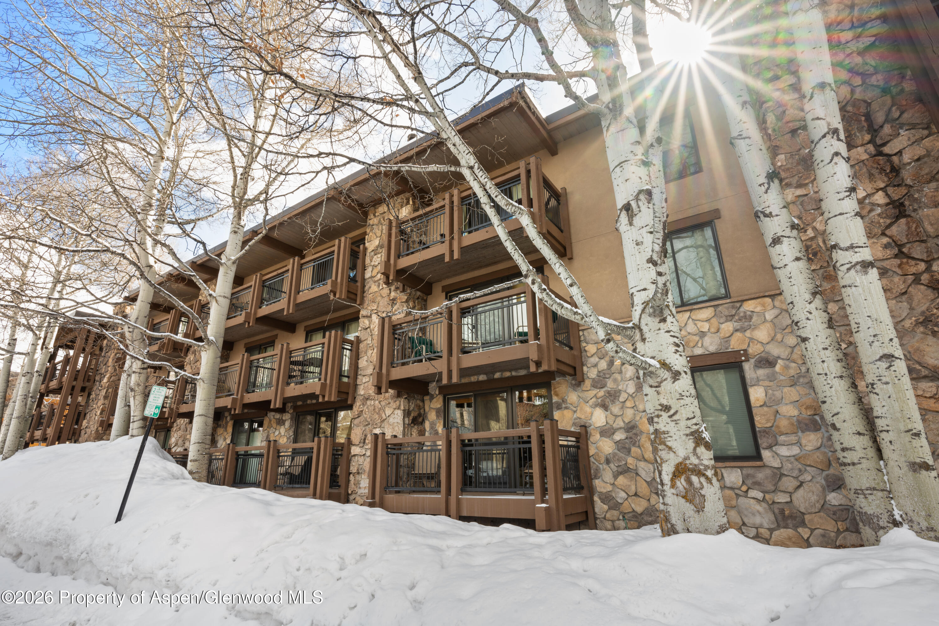 131 E Durant Avenue Aspen CO 81611