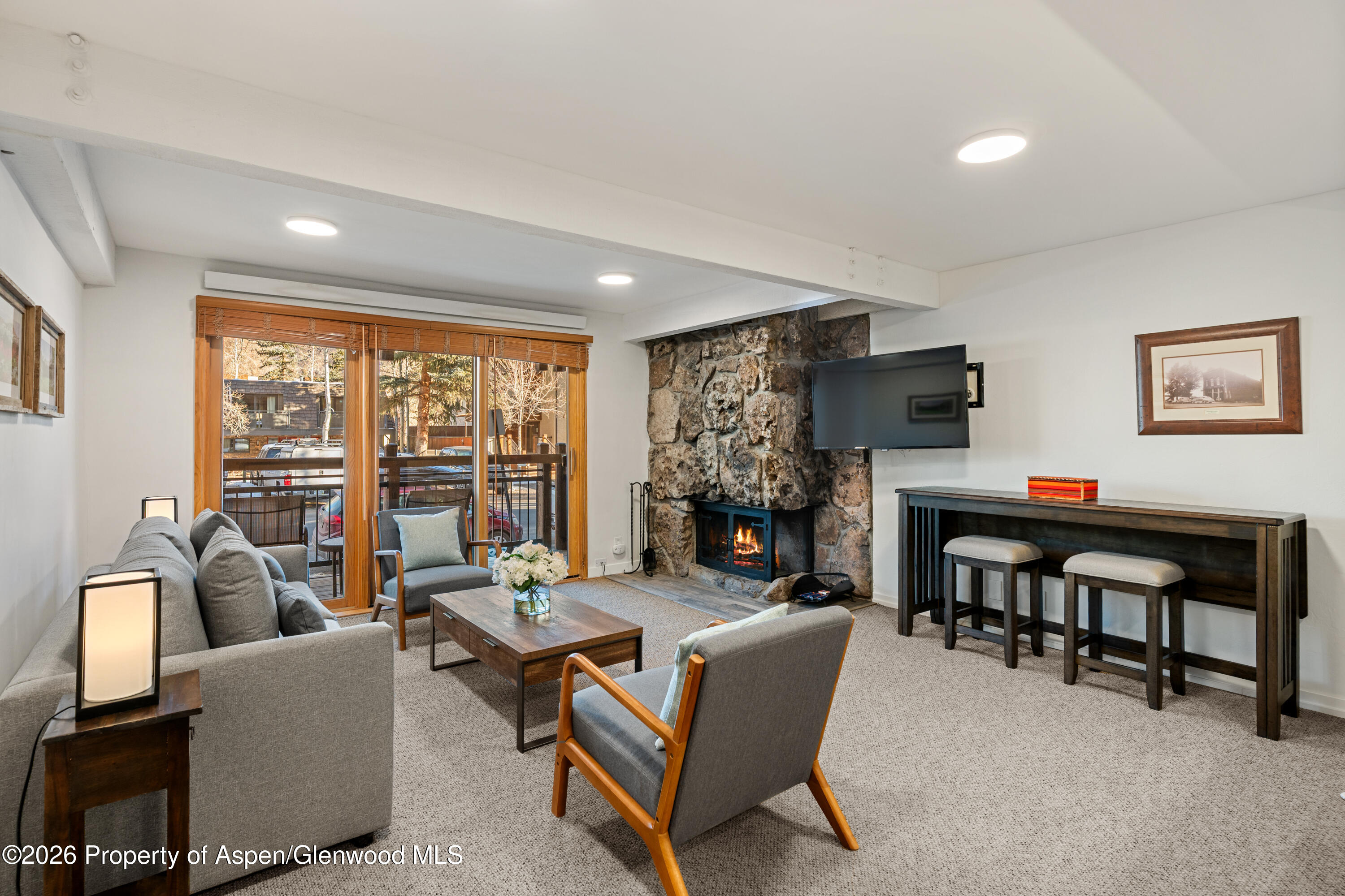 131 E Durant Avenue Aspen CO 81611