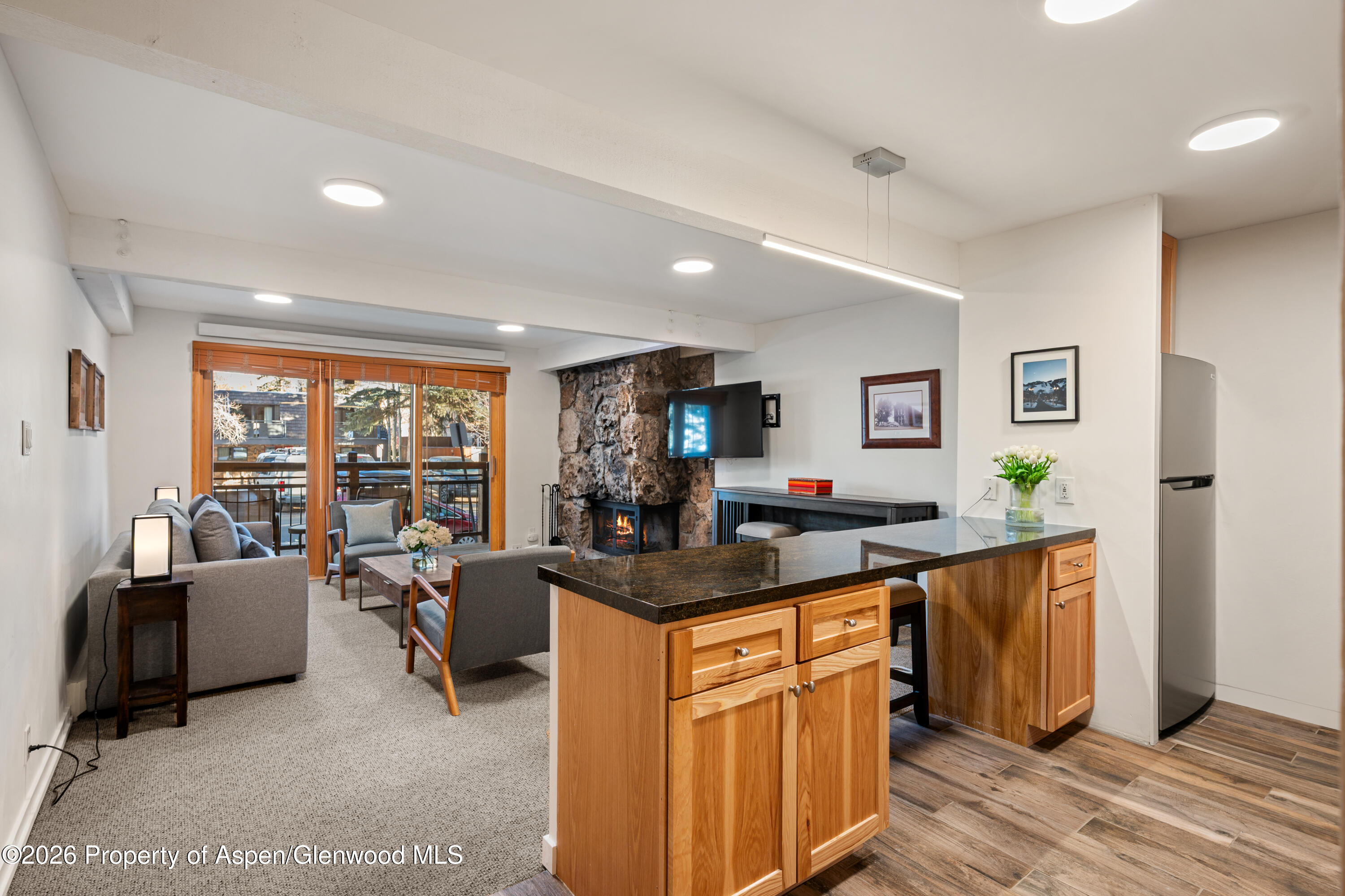 131 E Durant Avenue Aspen CO 81611