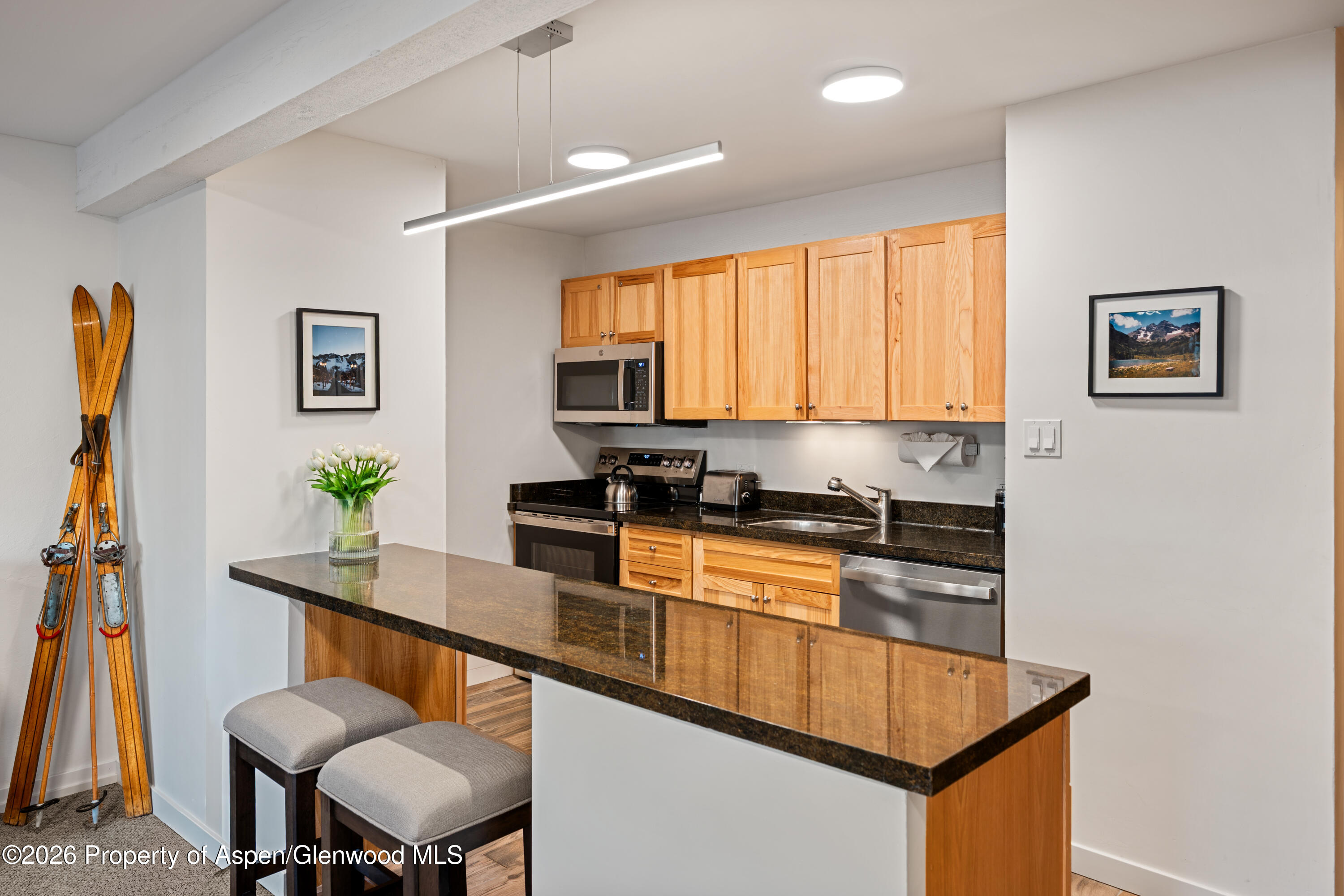 131 E Durant Avenue Aspen CO 81611