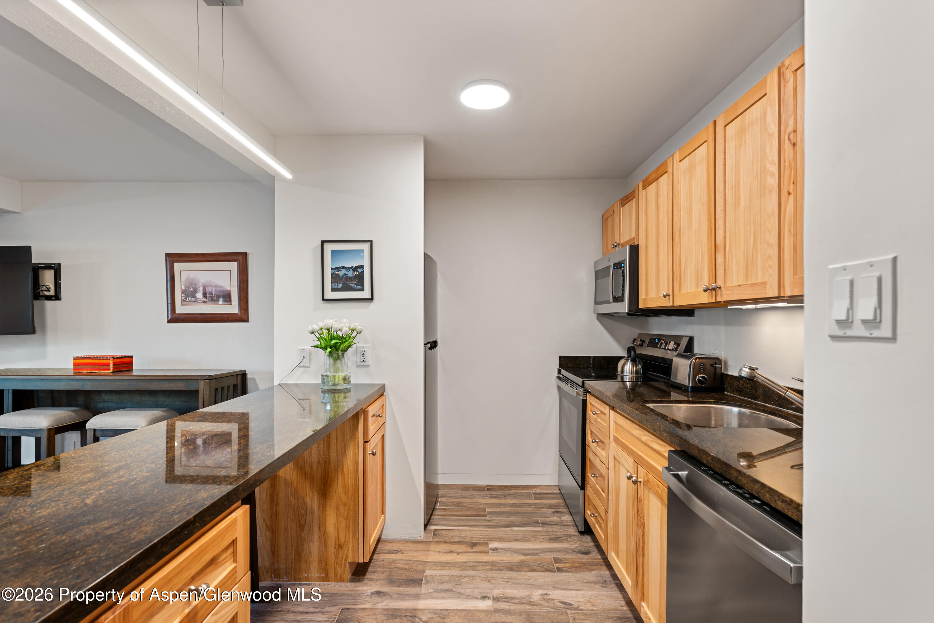 131 E Durant Avenue Aspen CO 81611