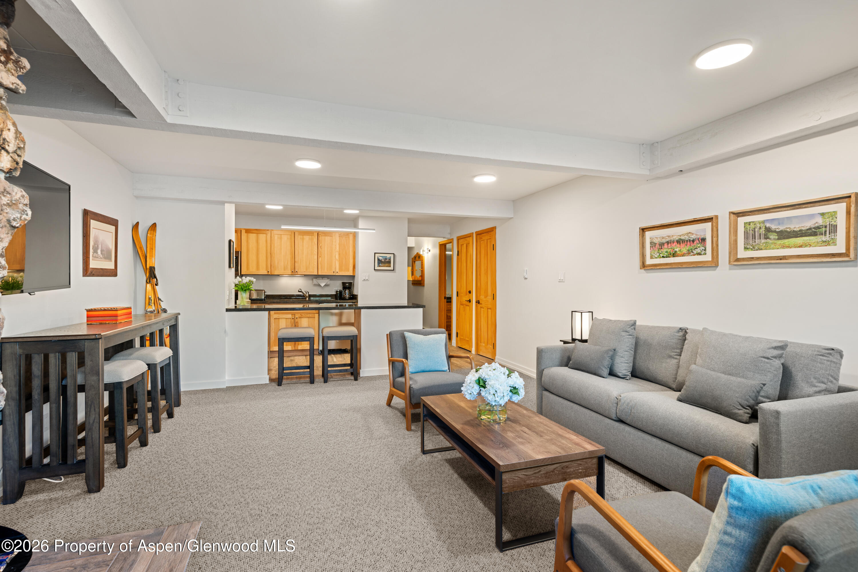 131 E Durant Avenue Aspen CO 81611