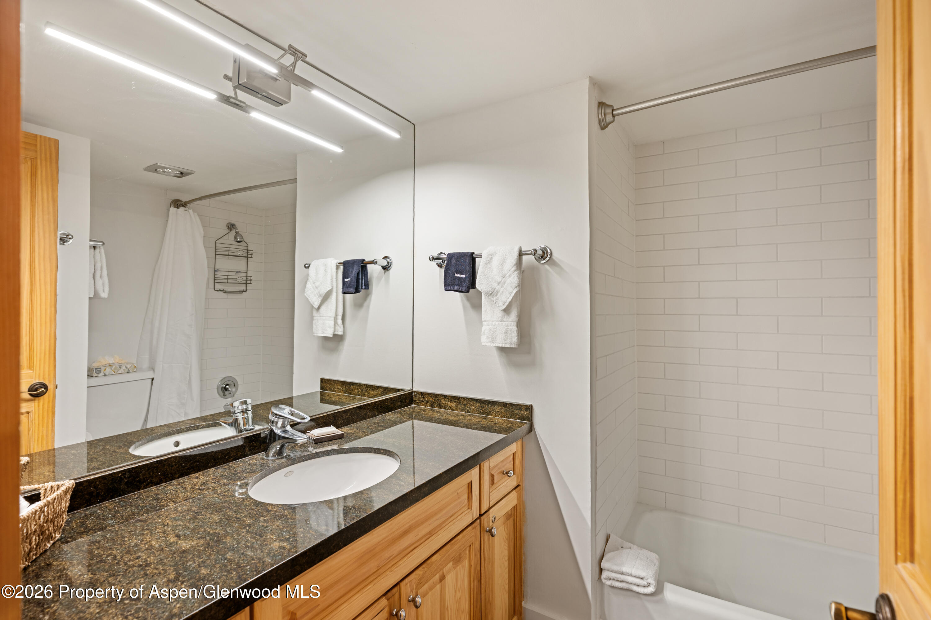 131 E Durant Avenue Aspen CO 81611