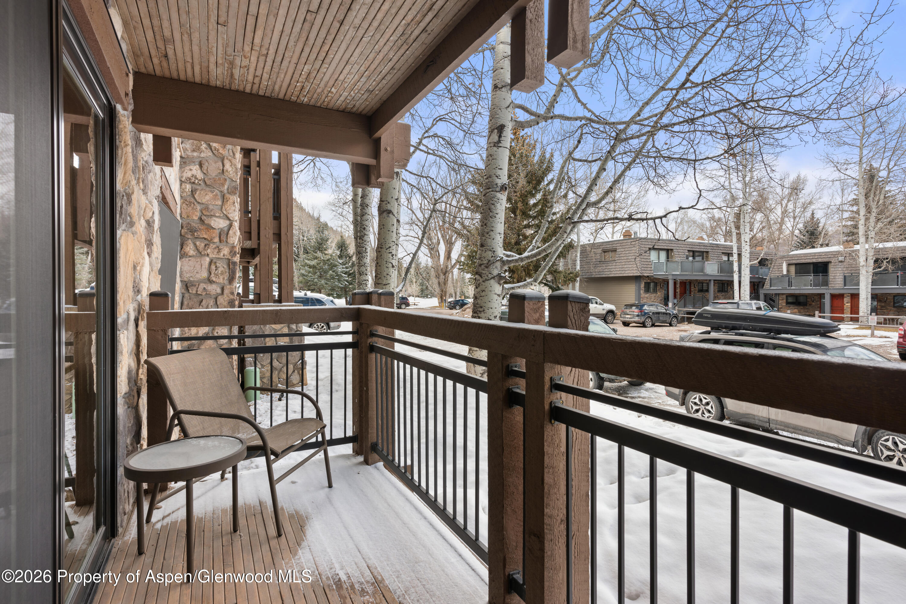 131 E Durant Avenue Aspen CO 81611