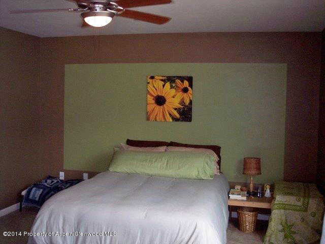 1433 Summerville Alley Glenwood Springs CO 81601