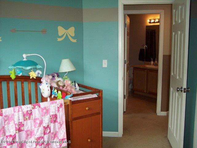 1433 Summerville Alley Glenwood Springs CO 81601