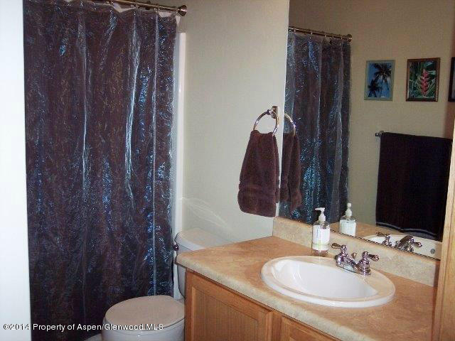 1433 Summerville Alley Glenwood Springs CO 81601