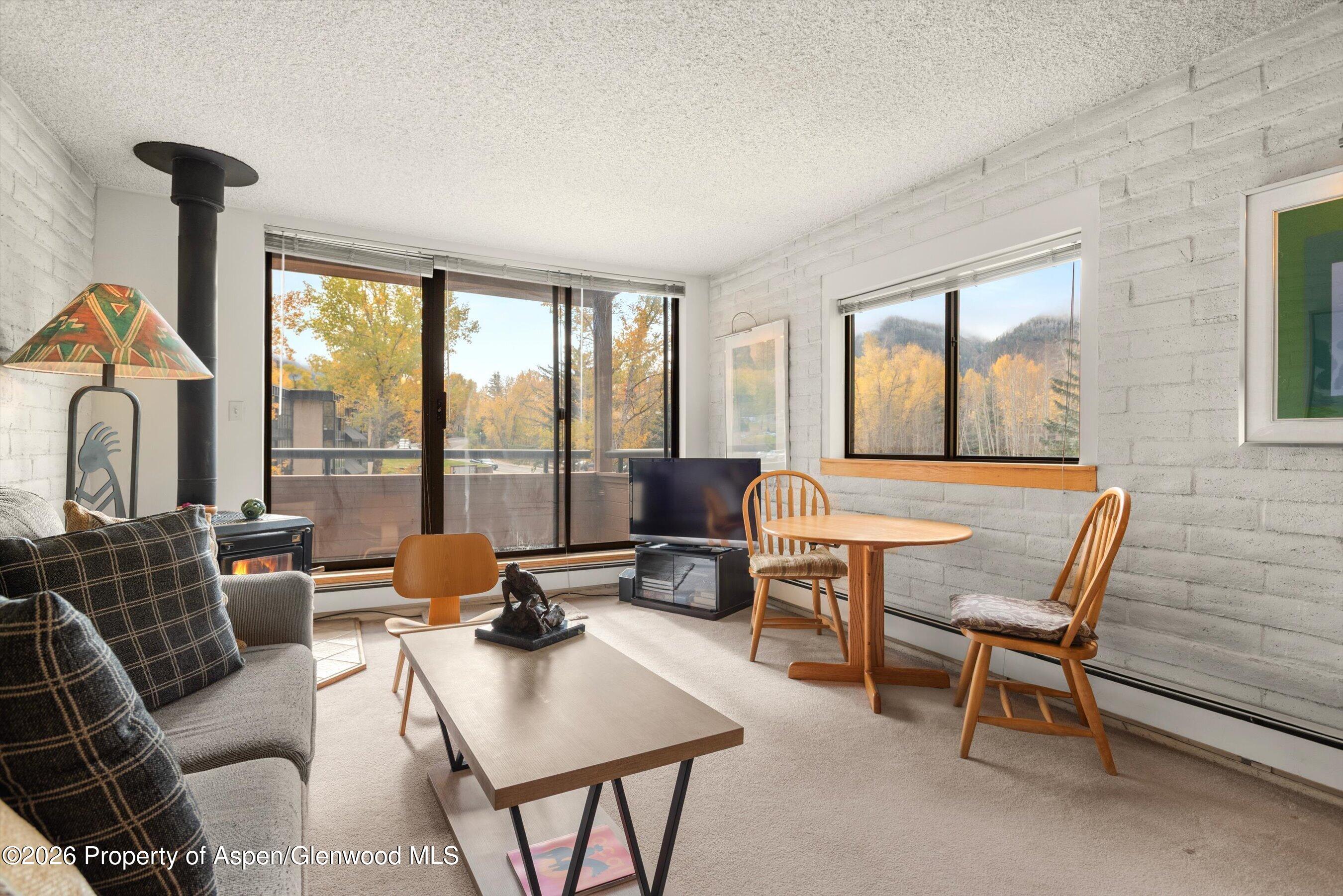 Aspen CO, 131 Vine Street
