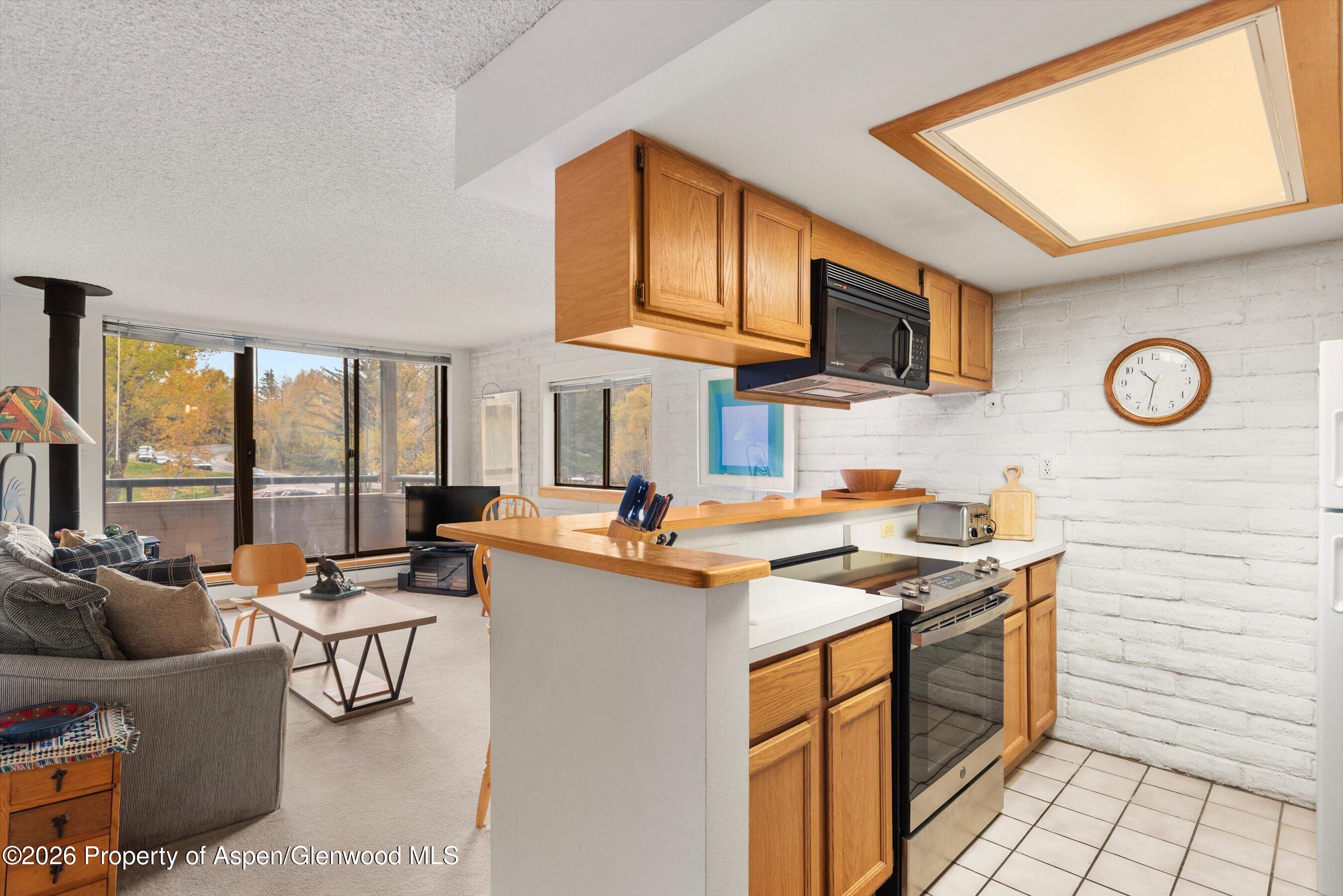 131 Vine Street Aspen CO 81611
