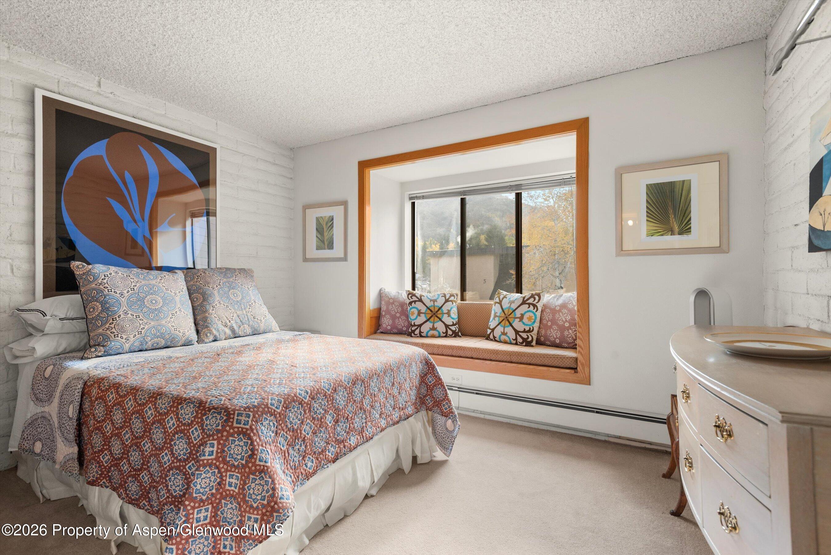 131 Vine Street Aspen CO 81611
