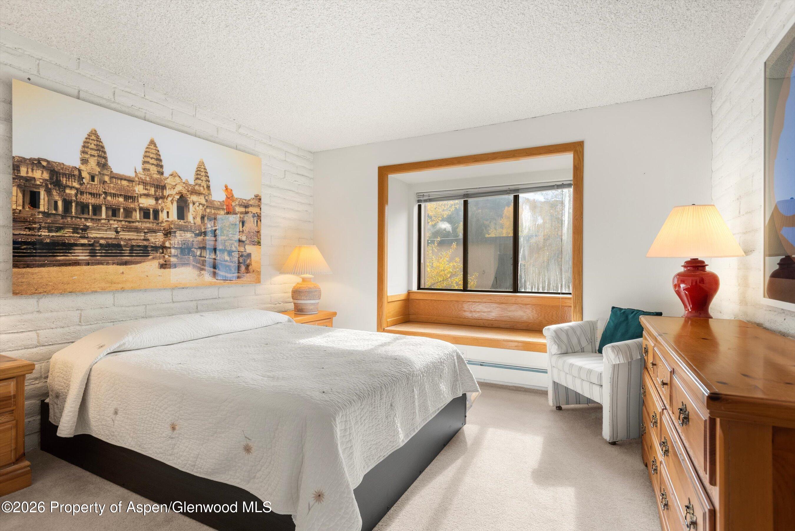 131 Vine Street Aspen CO 81611