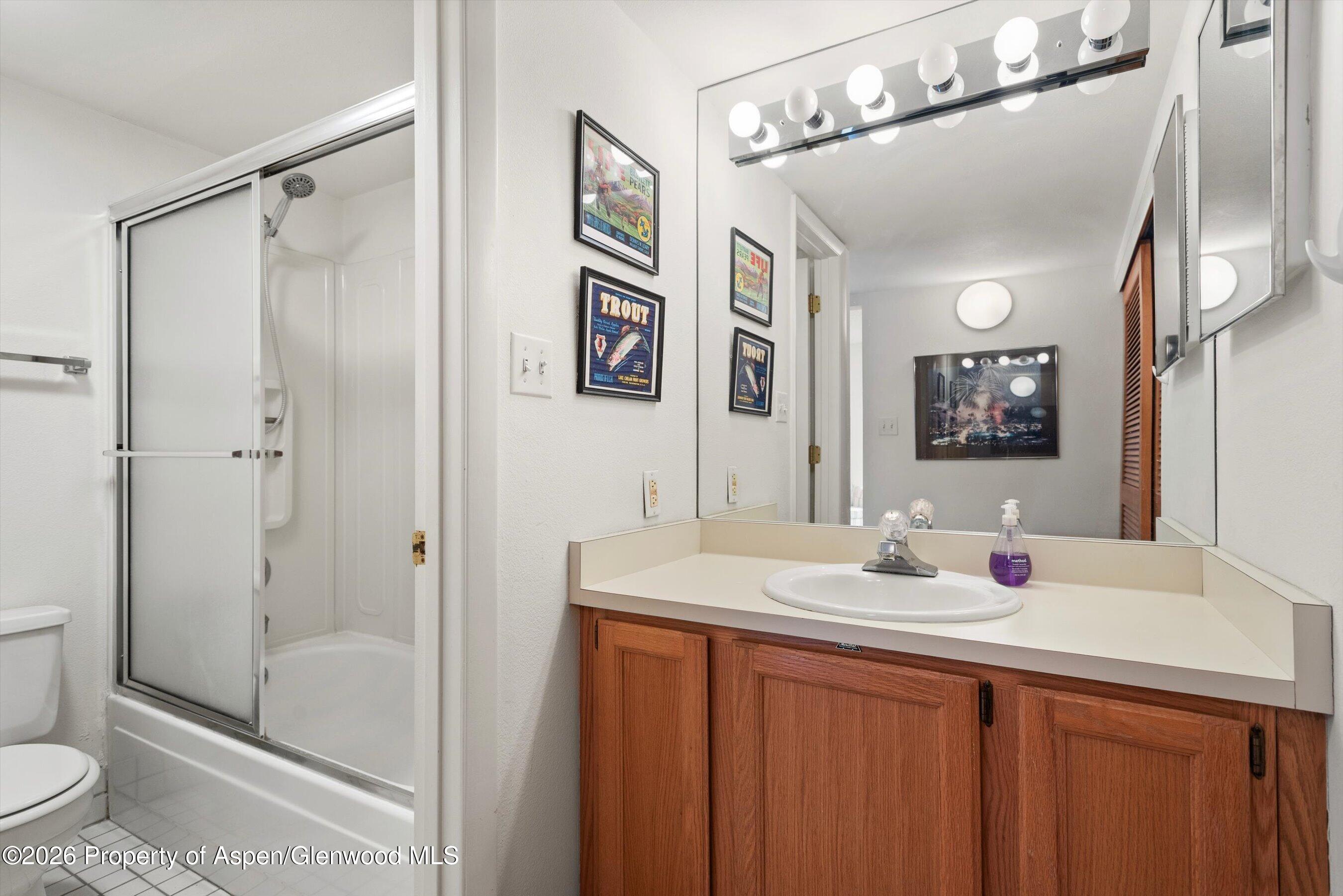 131 Vine Street Aspen CO 81611