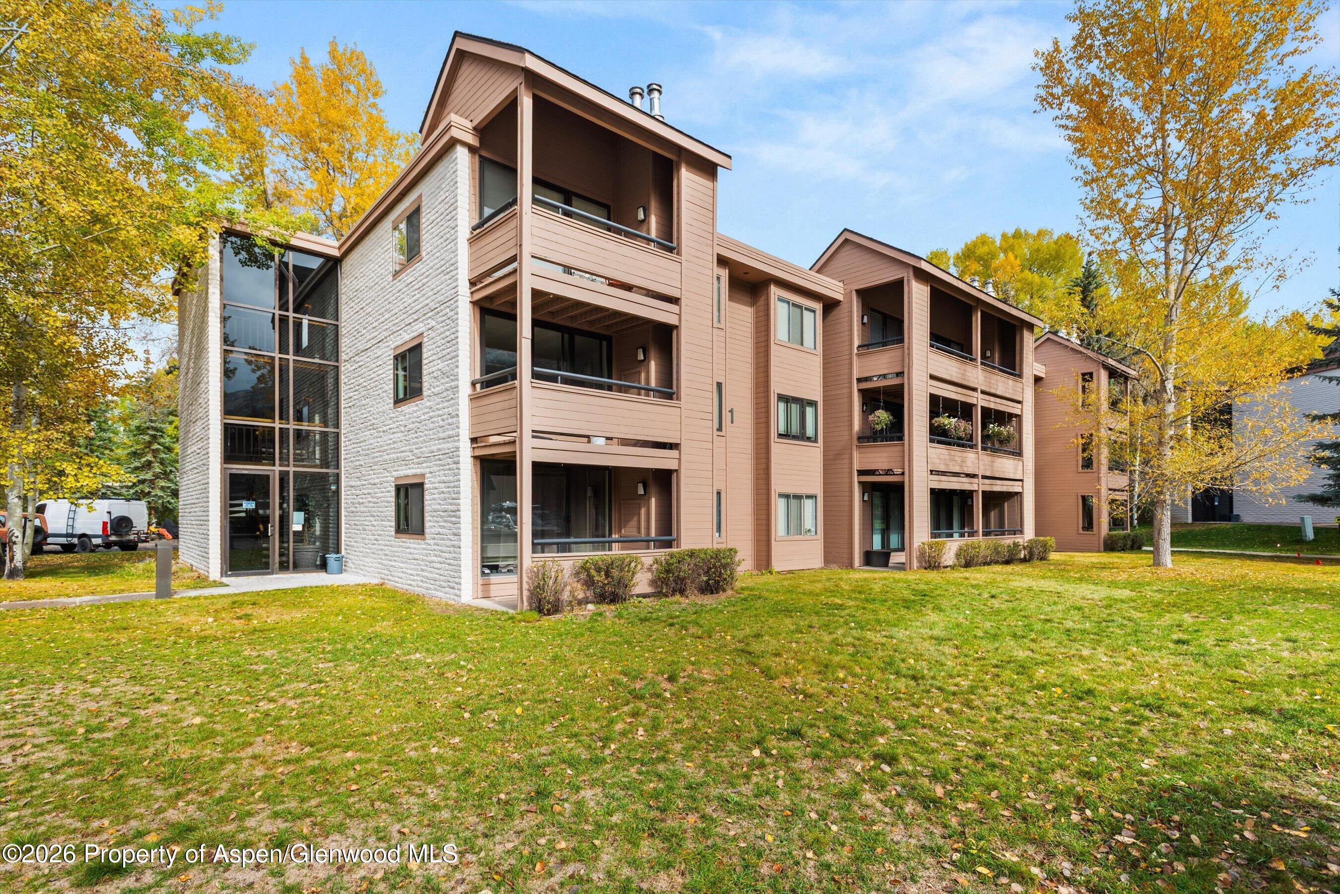 131 Vine Street Aspen CO 81611