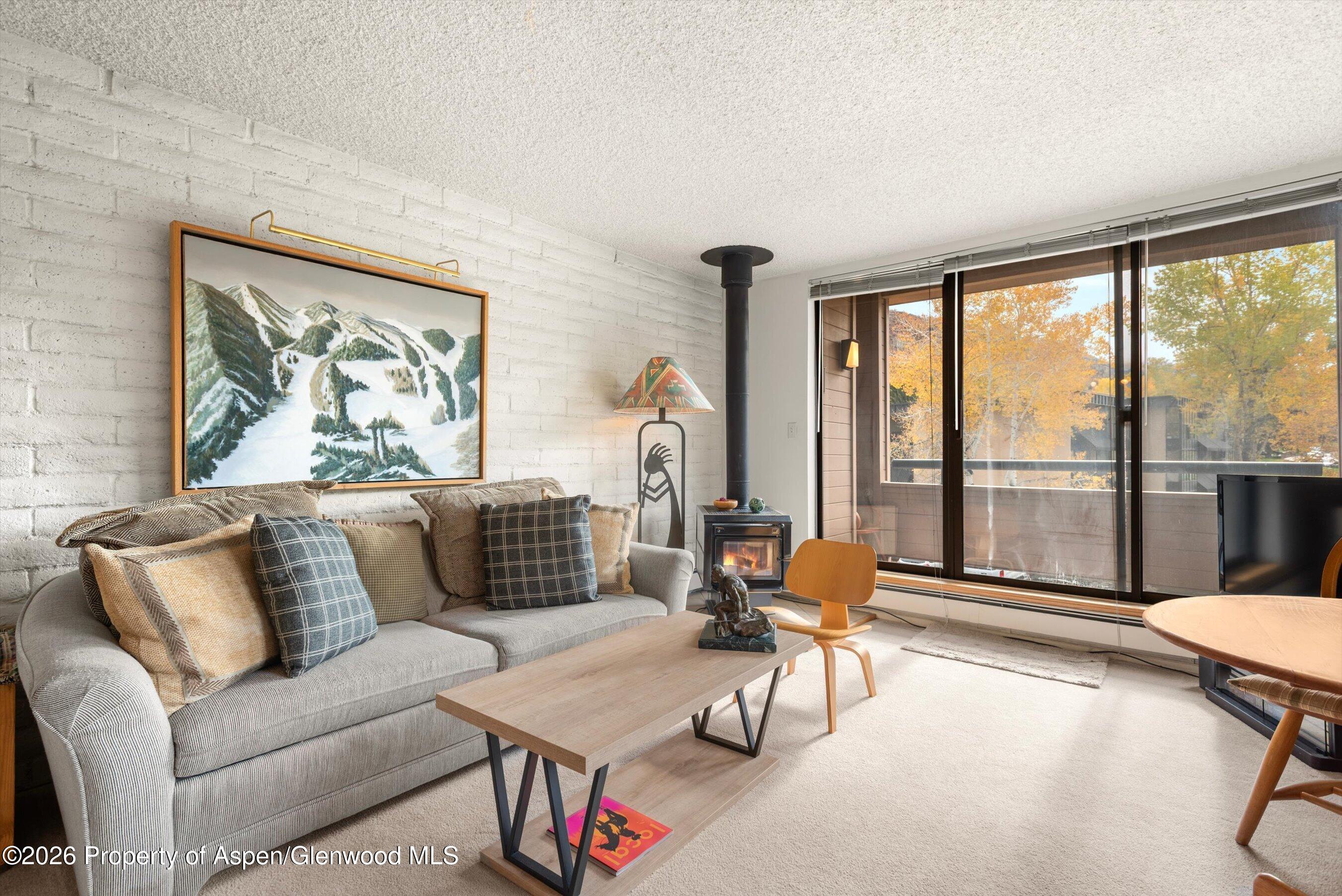 131 Vine Street Aspen CO 81611