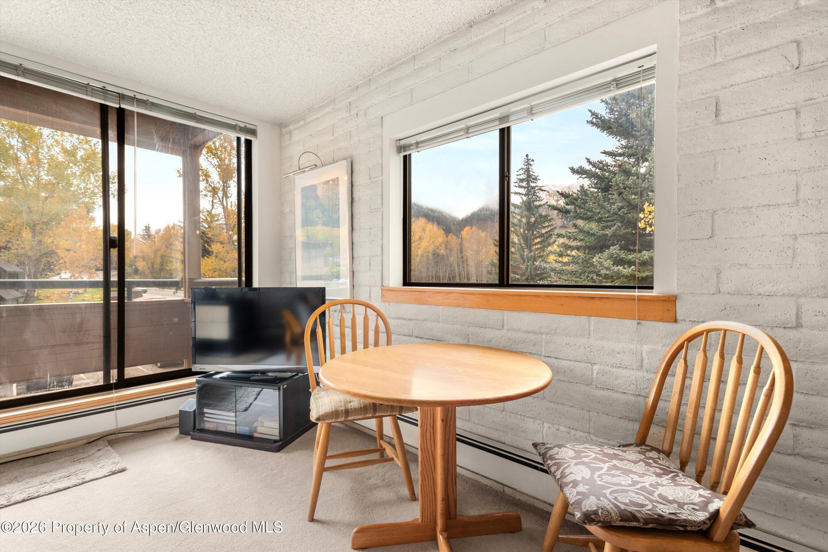 131 Vine Street Aspen CO 81611