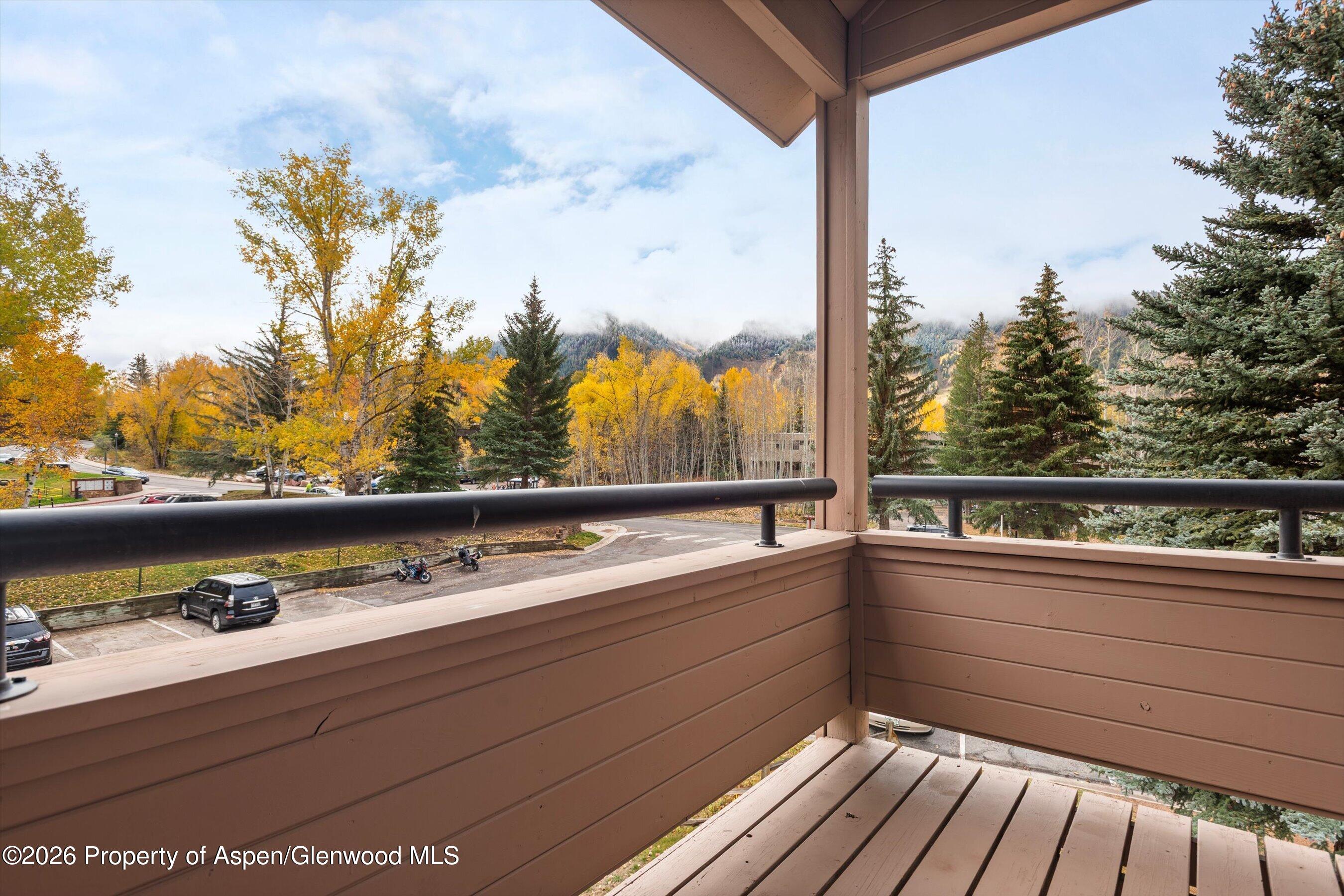 131 Vine Street Aspen CO 81611